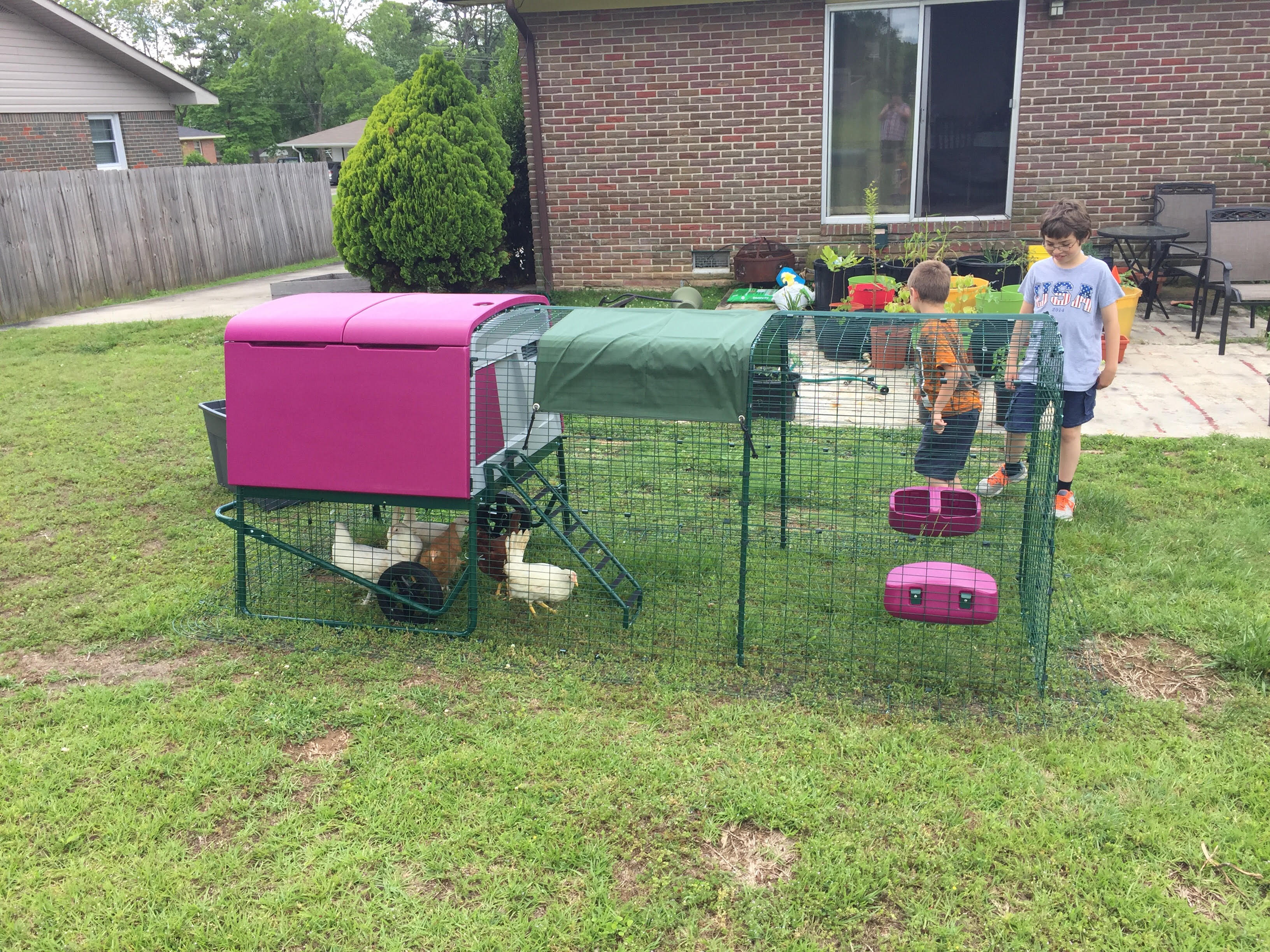 Cube with kiddos and Hens