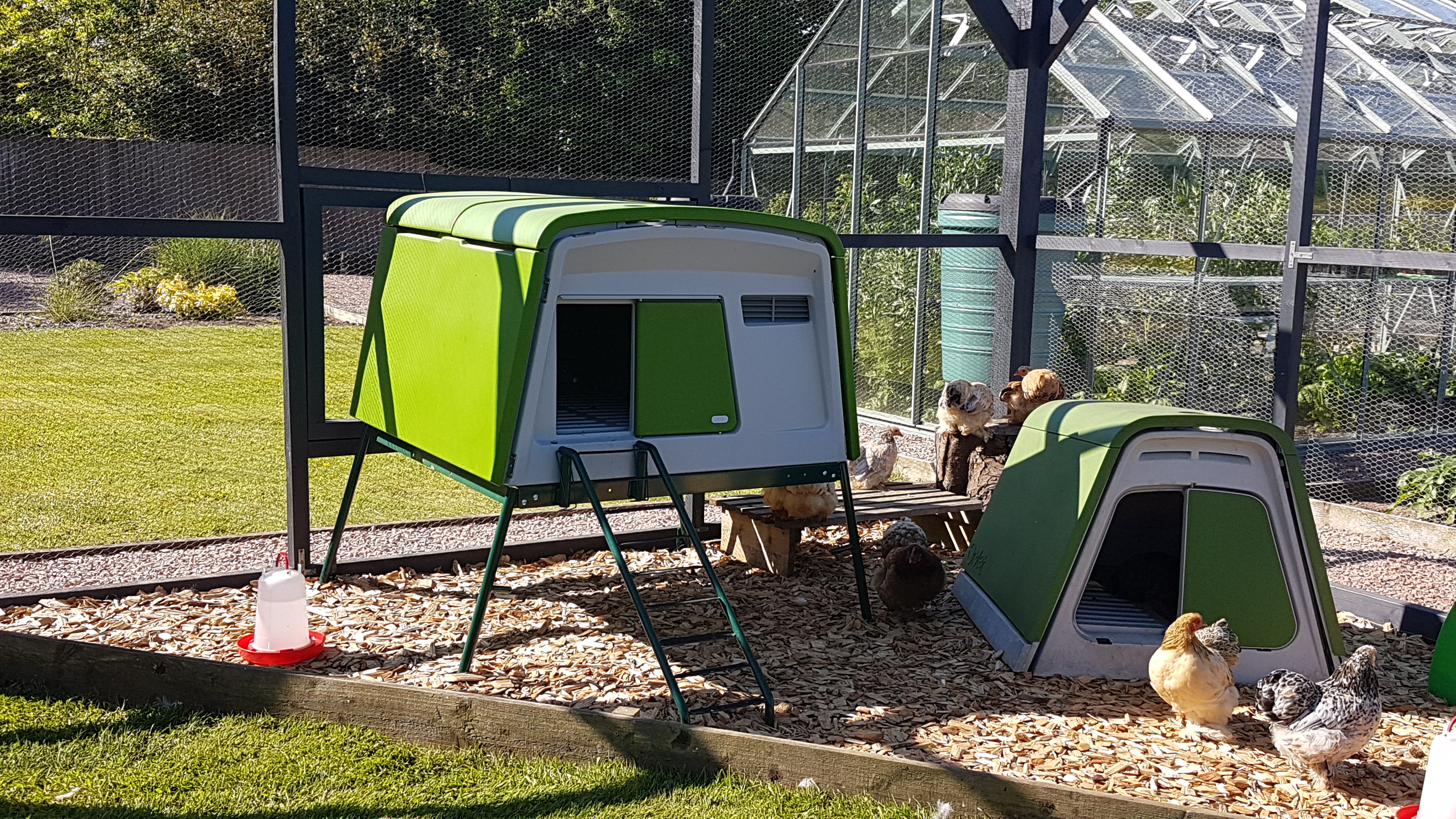 Large Chicken Coop Eglu Cube