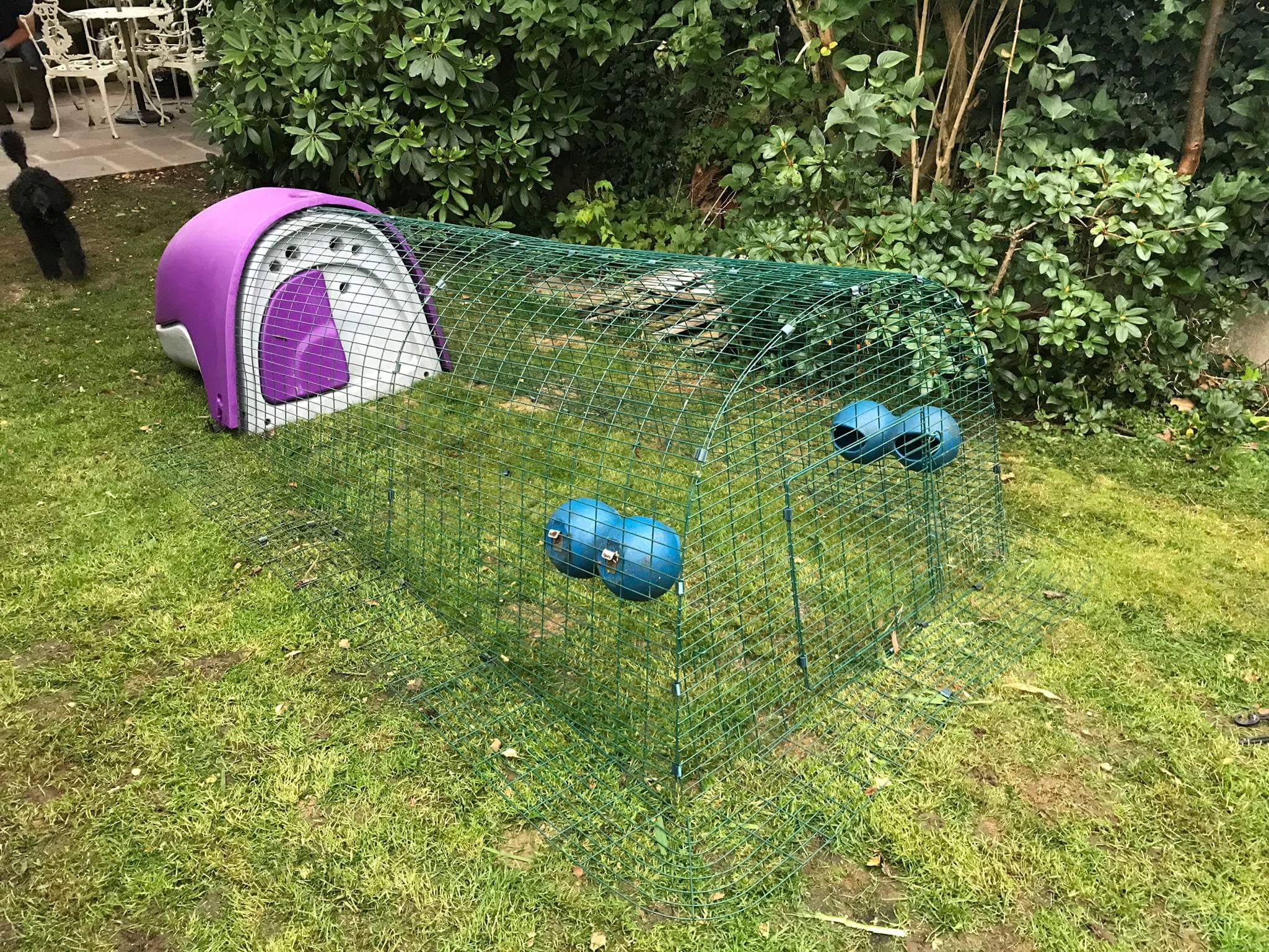 Eglu Go Chicken Coop Chicken Coops, Walk in Chicken Runs, Chicken Fencing and more Omlet