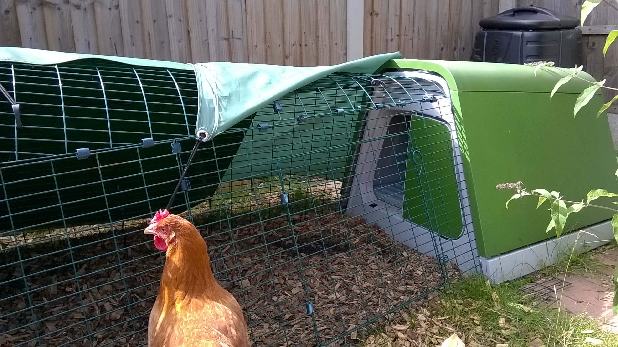 Eglu Go Chicken Coop | Chicken Keeping | Omlet