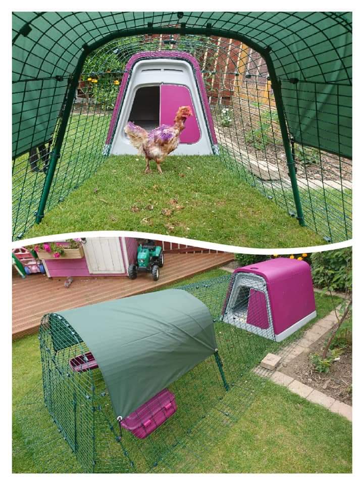 Eglu Go Chicken Coop Chicken Coops, Walk in Chicken Runs, Chicken