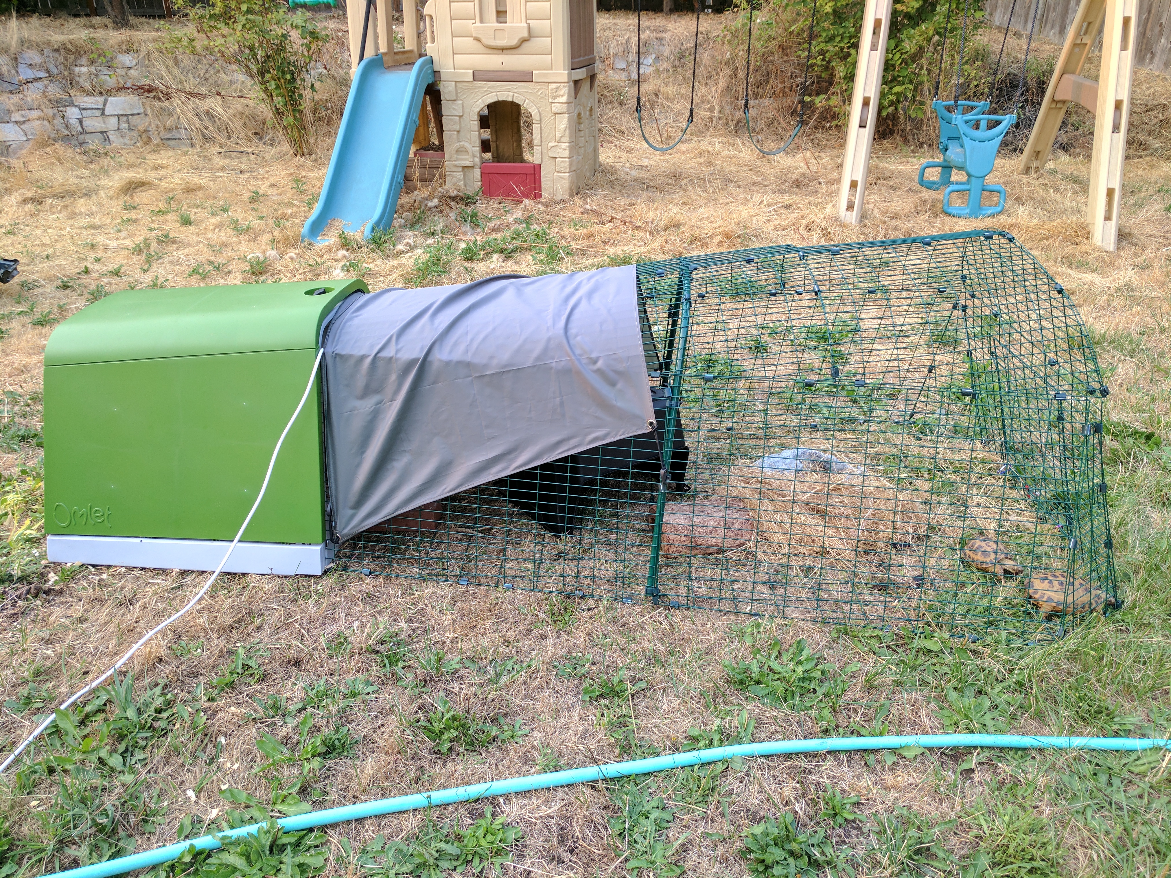 Eglu Go Guinea Pig Hutch Guinea Pig Hutches, Guinea Pig Runs and