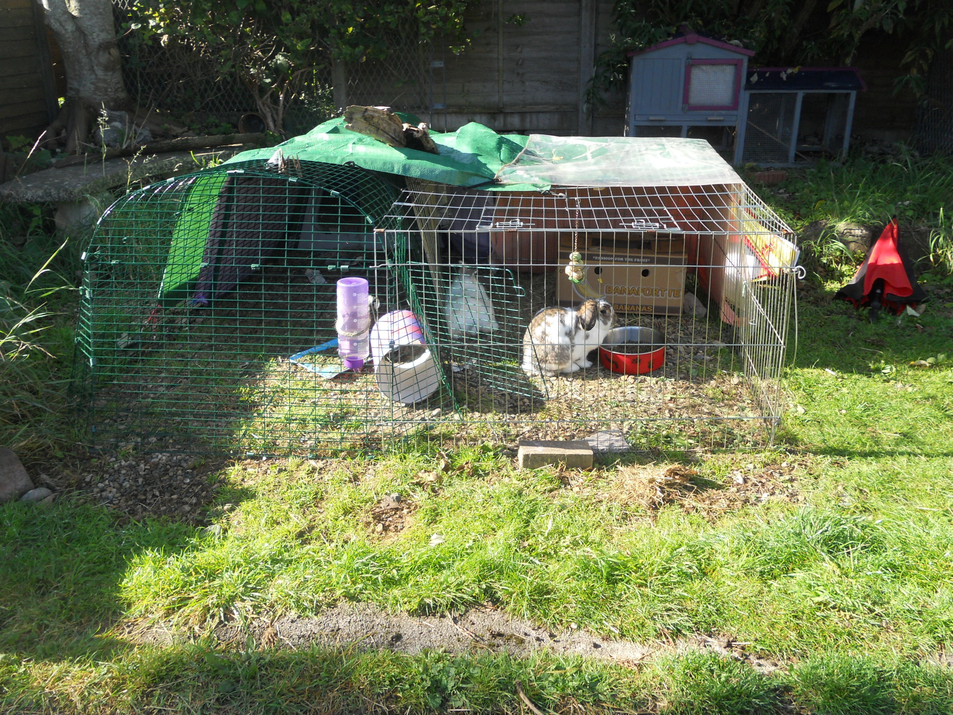 Eglu Go Rabbit Hutch Plastic House and Run for Rabbits
