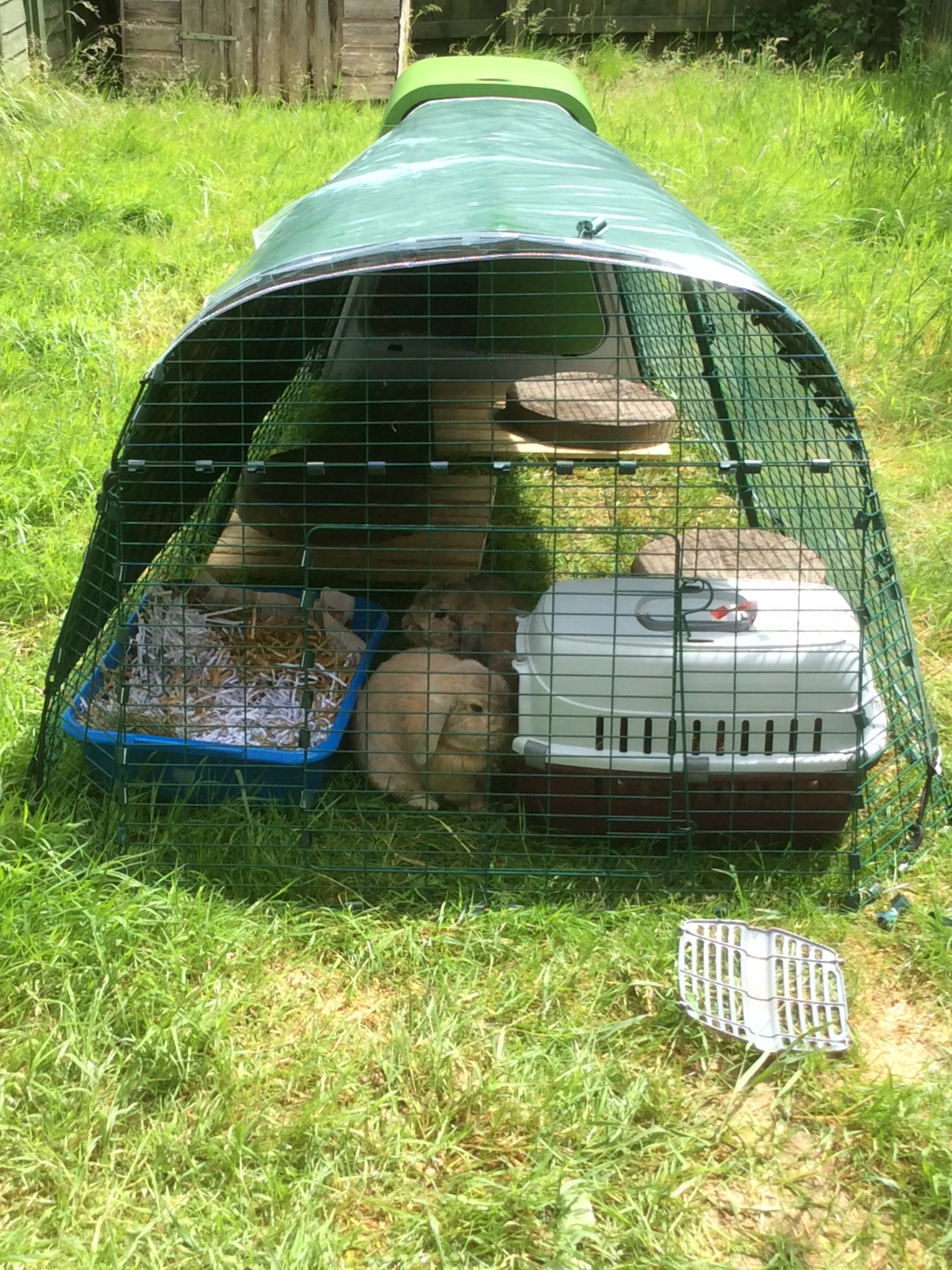 Eglu Go Rabbit Hutch Plastic House and Run for Rabbits