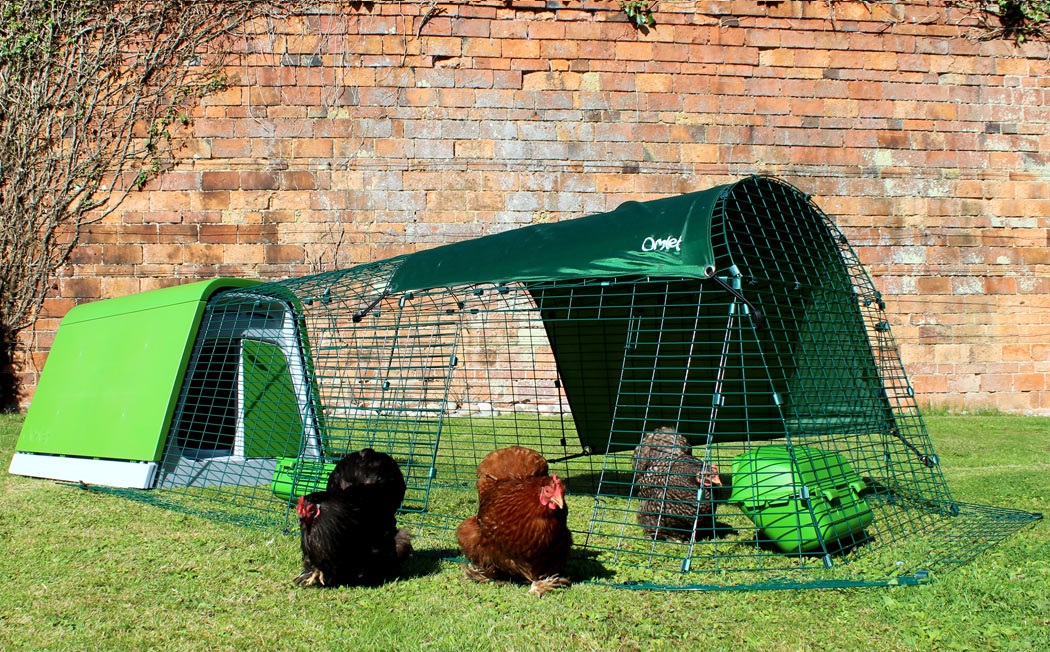 The chicken run has a movable door, so you can let your chickens roam free in the backyard.
