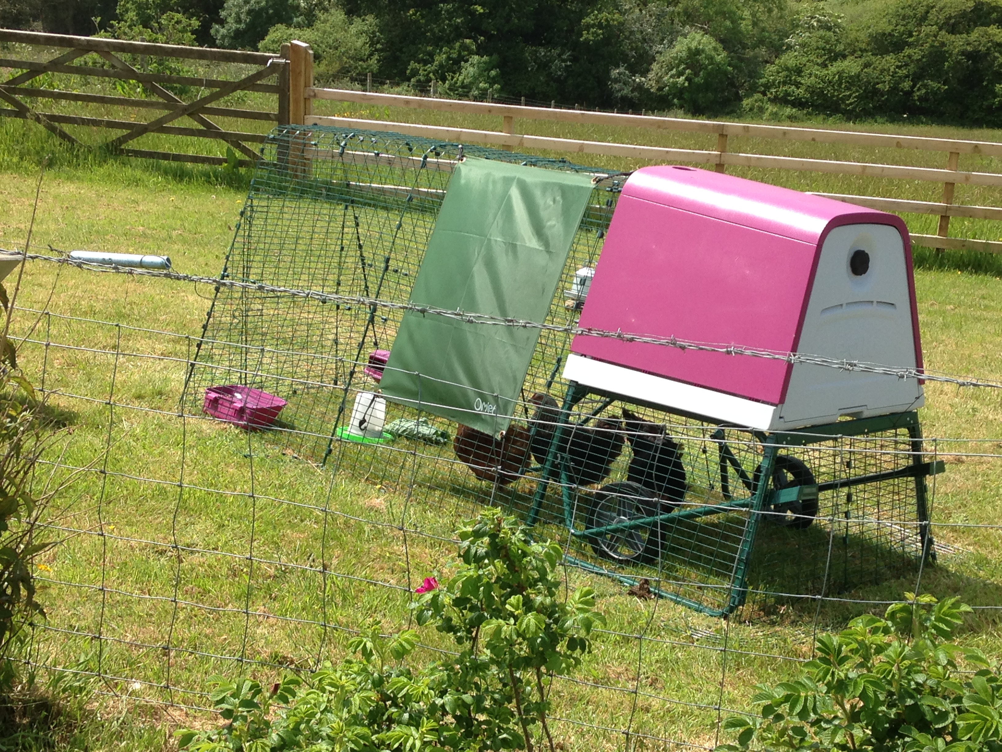 Reviews for Eglu Go UP Chicken Coop | Chicken Keeping | Omlet