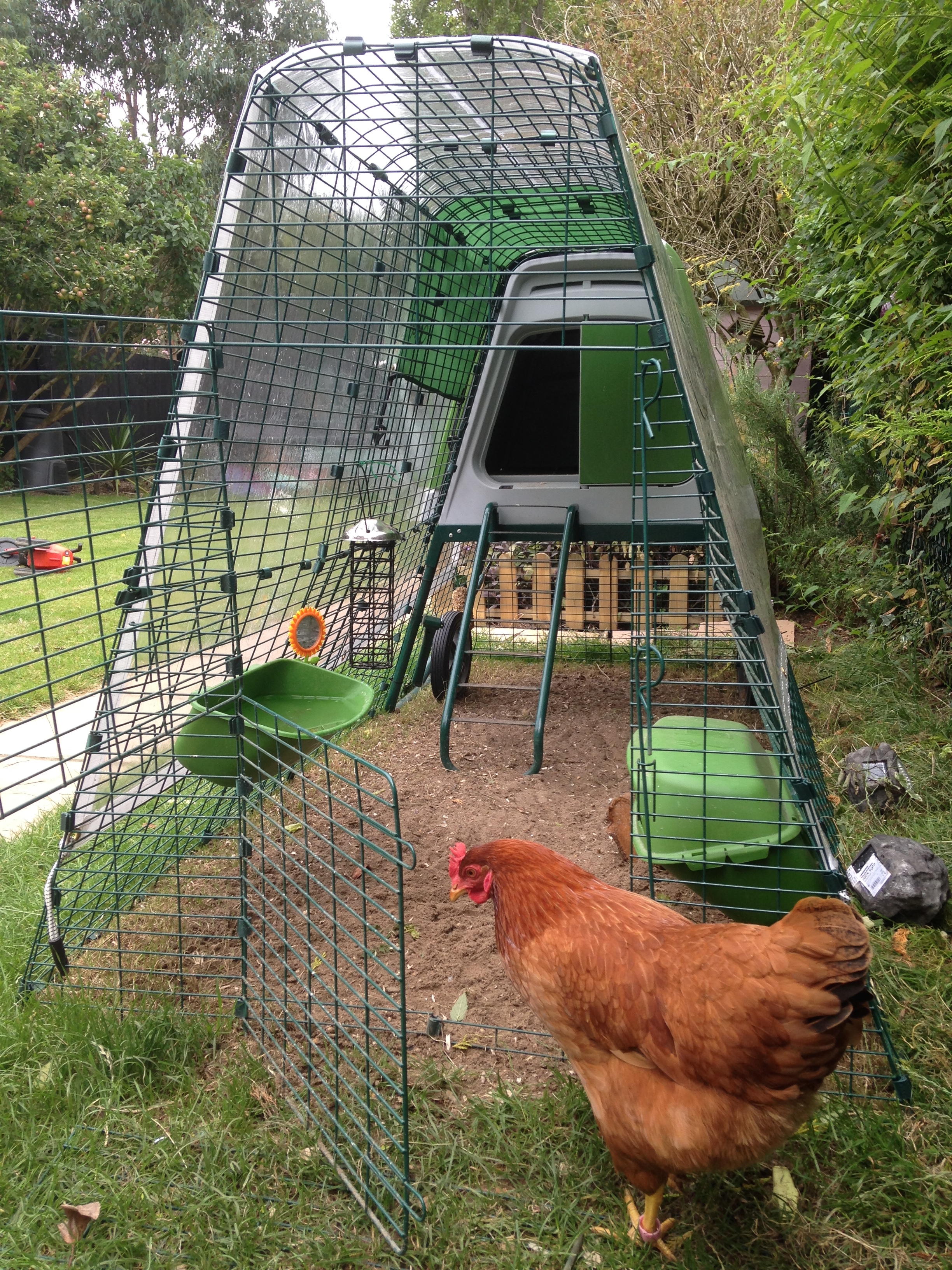 Reviews for Eglu Go UP Chicken Coop Chicken Keeping Omlet