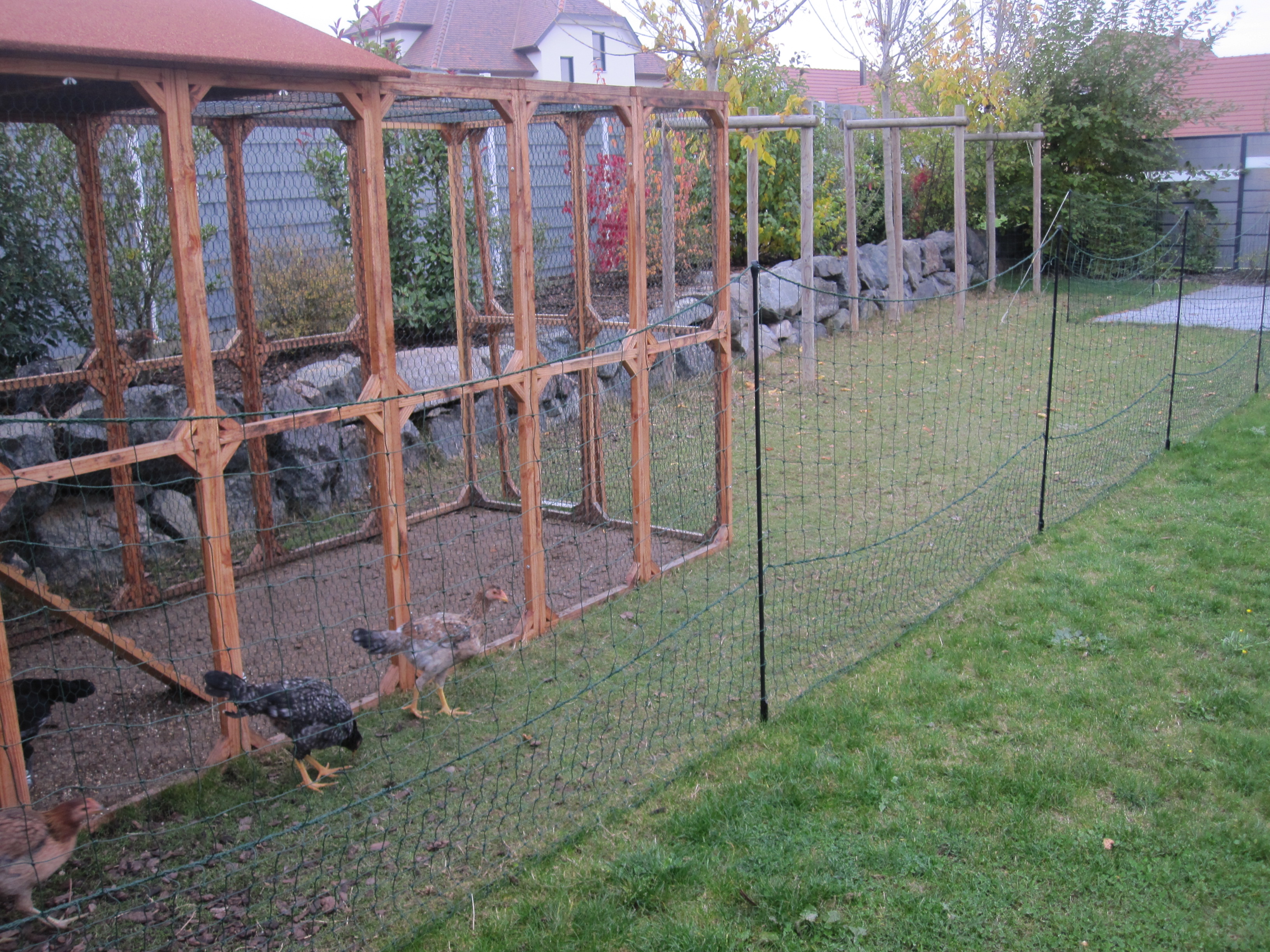 Omlet Chicken Fencing Chicken Keeping Omlet
