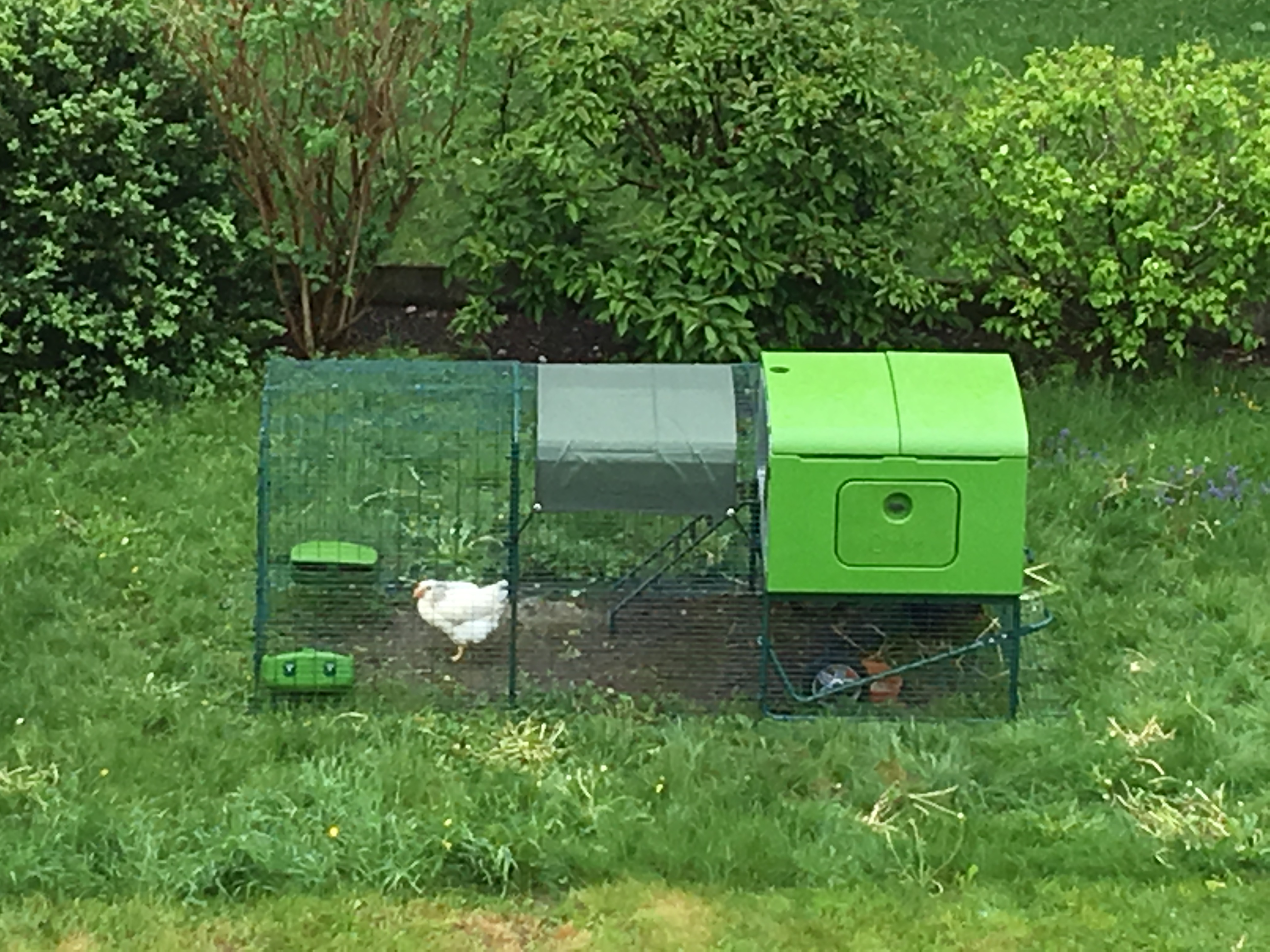 Omlet Chicken Fencing Chicken Coops and Pet Chicken Accessories Omlet