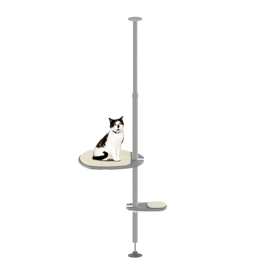 Pole cat tree deals