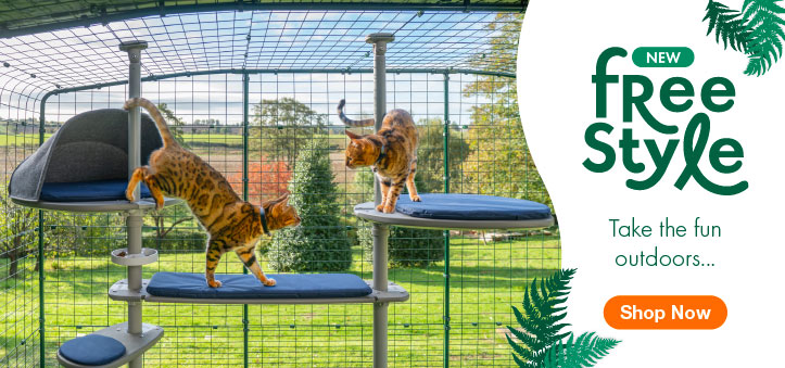 Two ginger cats playing on the Omlet Freestyle Outdoor Cat Tree