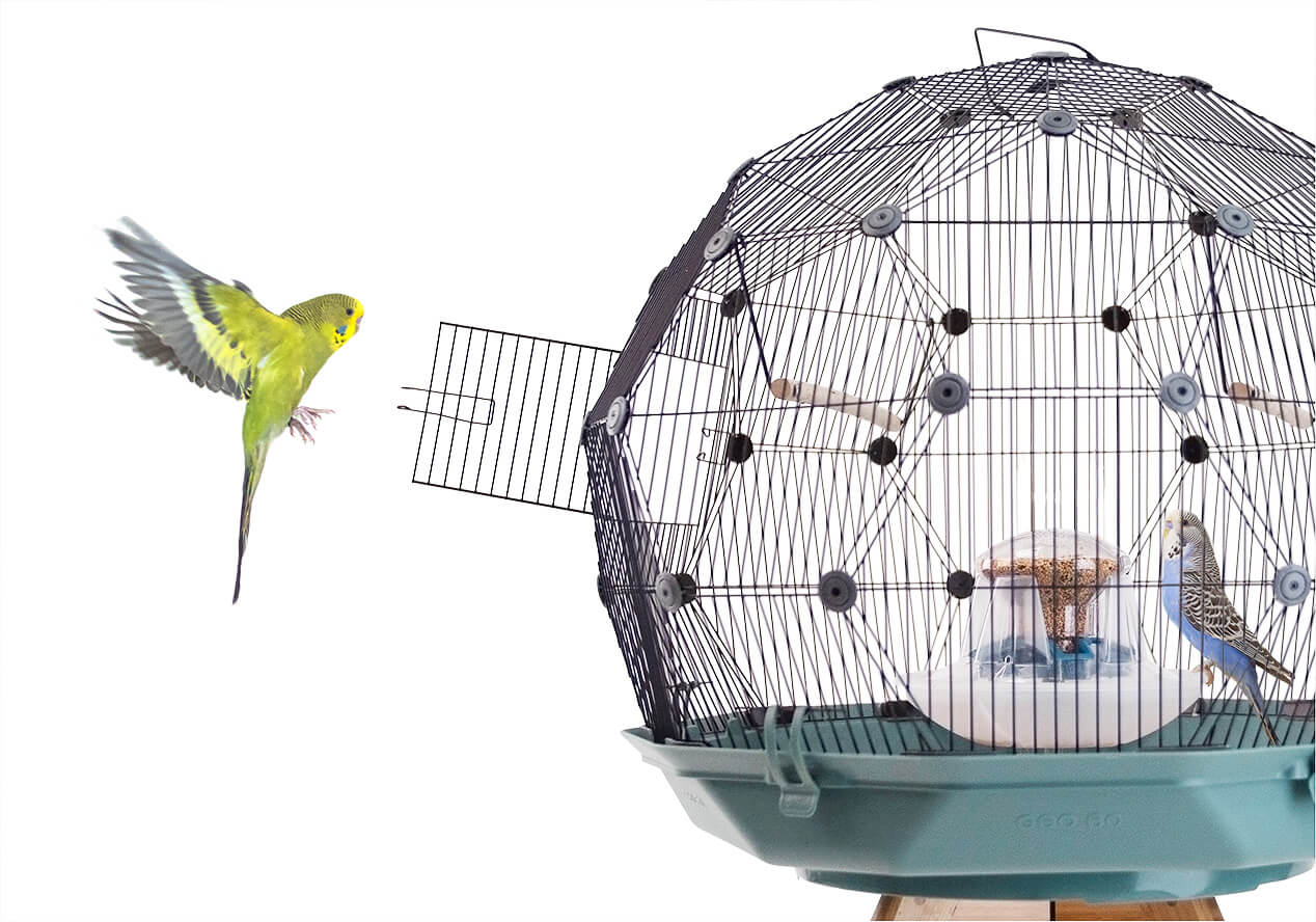 A yellow parakeet flies towards an open door of the Geo Bird Cage while a blue parakeet perches at the centrally located feed station inside the cage