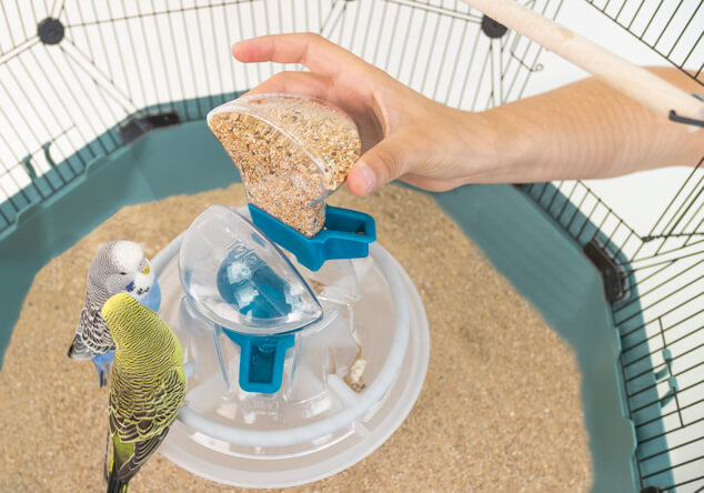 The bird feeder being removed from the Geo Parakeet Cage