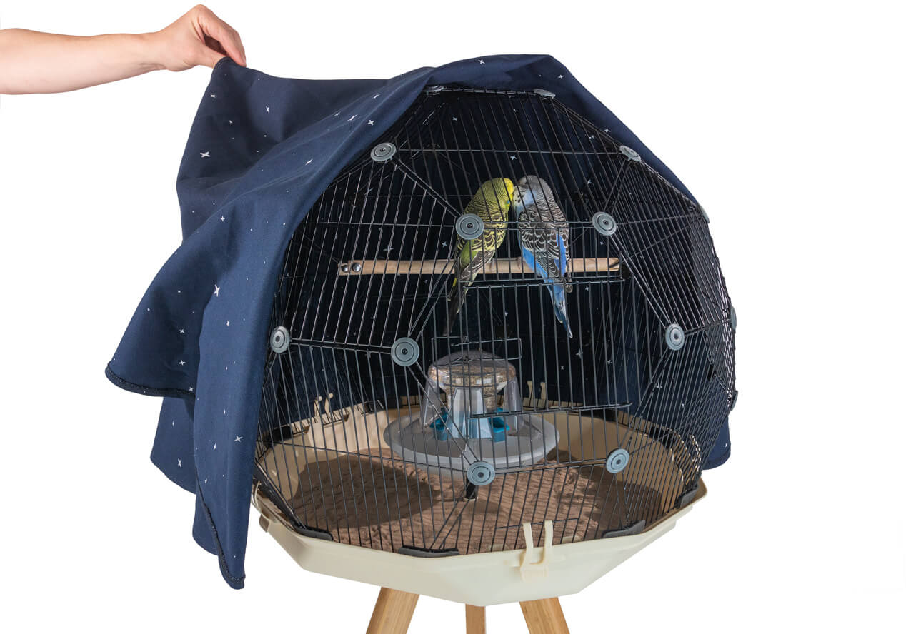Two parakeets on a perch within the Geo Bird Cage with the night cover peeled back half way