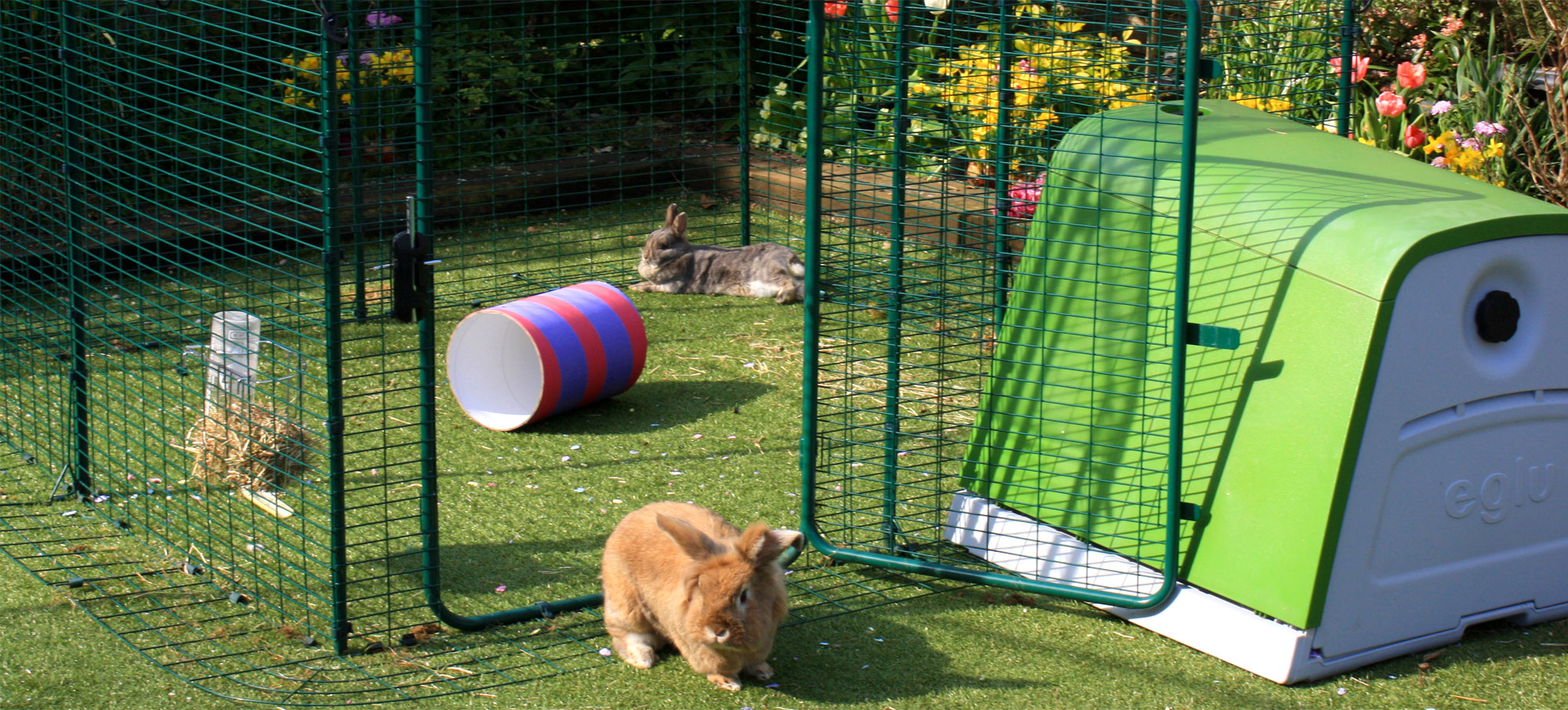 Outdoor Rabbit Run 9ft x 12ft x 6ft