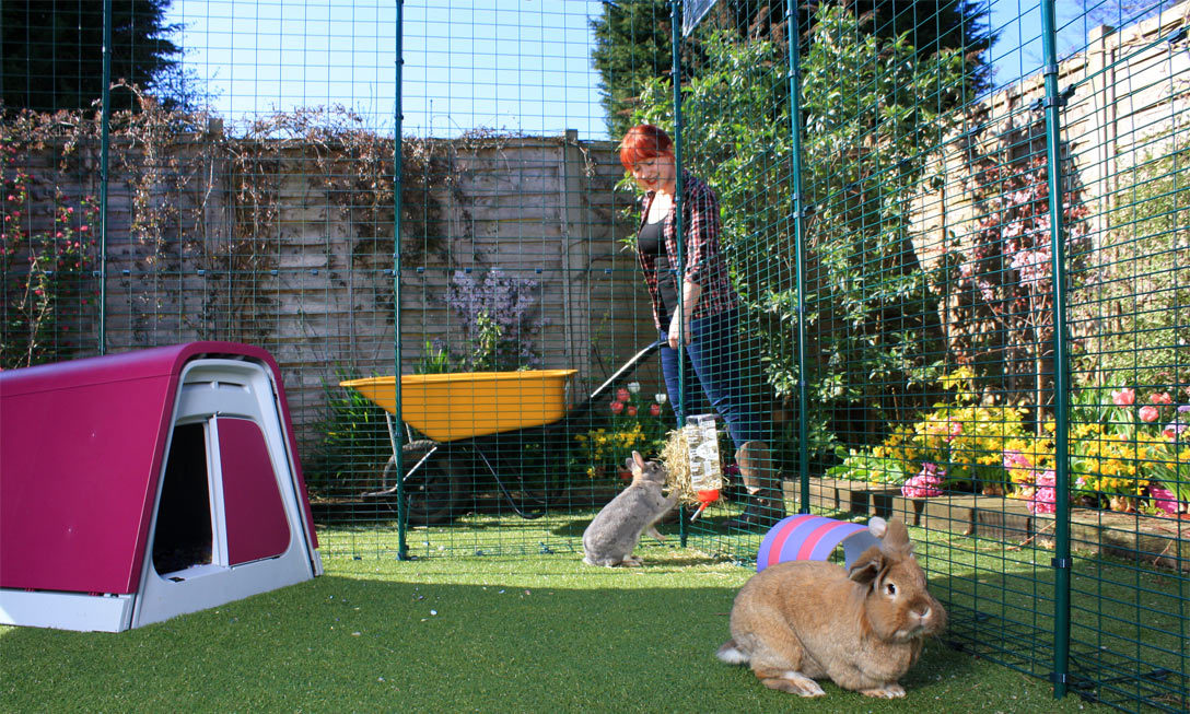 Outdoor rabbit area sales