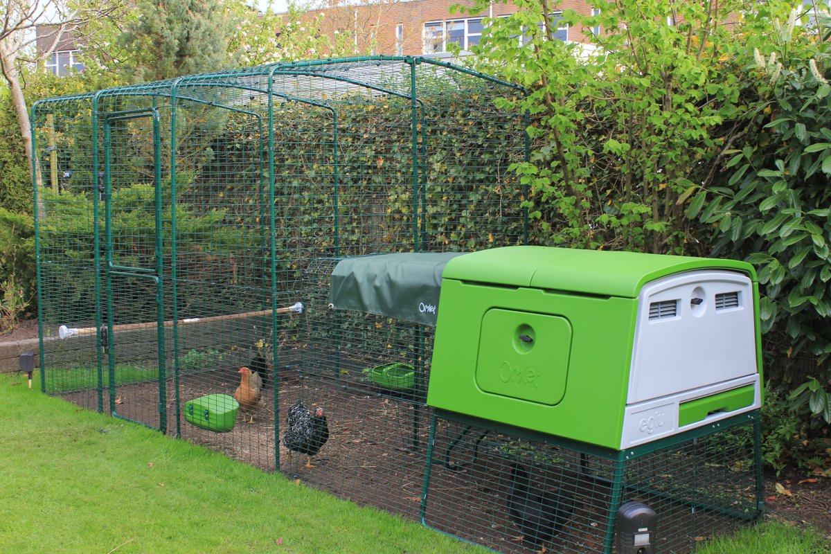 Walk in Chicken Run Large Outdoor Chicken Enclosure