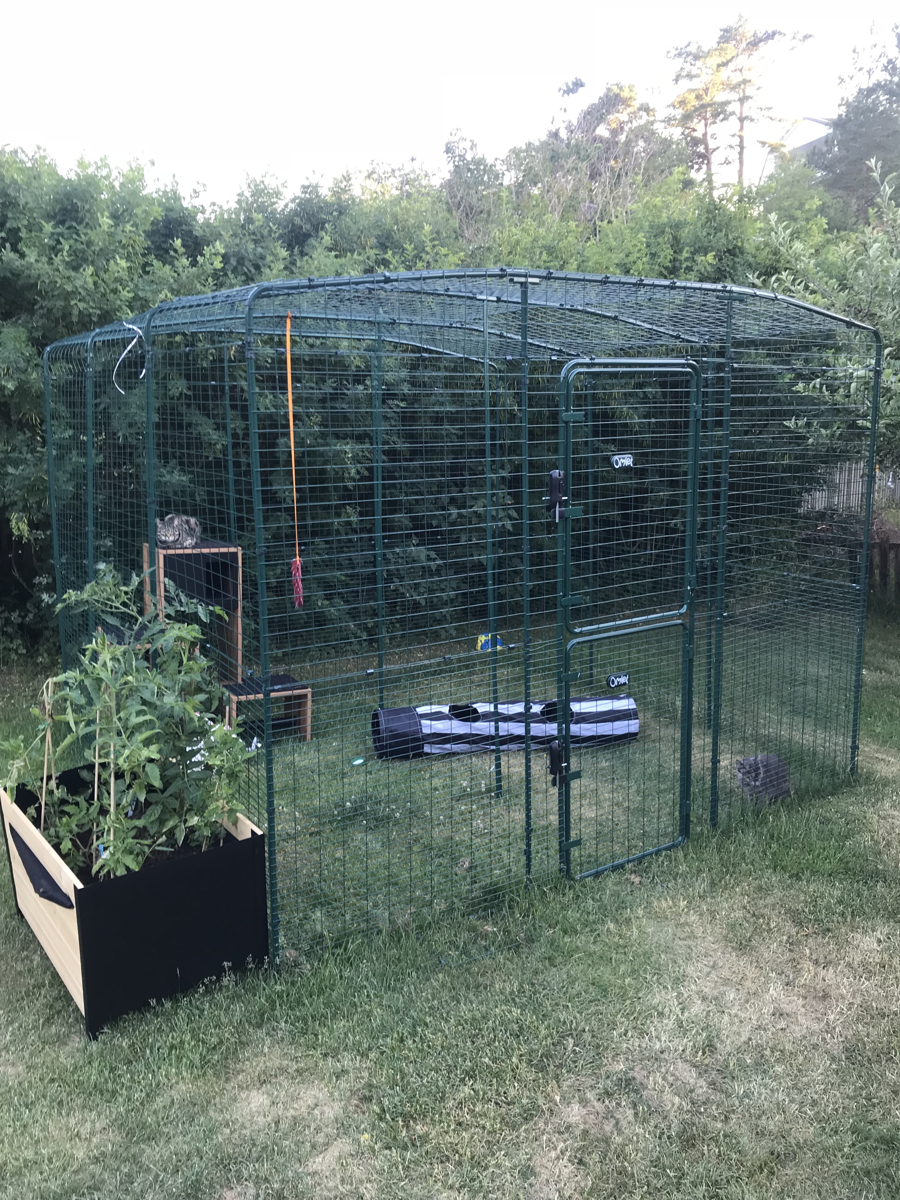 Outdoor Cat Run Large Spacious Outdoor Cat Enclosure