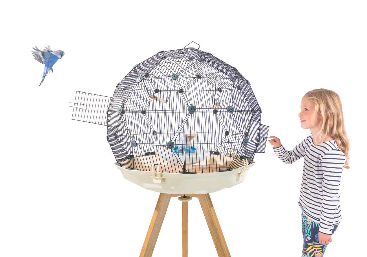 A young girl opening the door of the Geo Bird Cage while a blue parakeet flies towards an open door on the other side of the cage