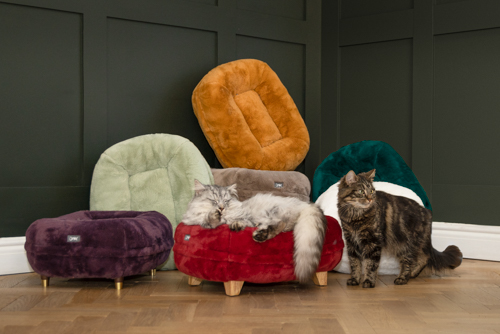 Maya Donut Elevated Cat Bed