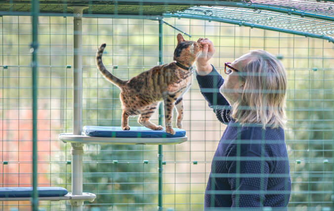 Man and cat inside a cat enclosure enjoying the personalized outdoor cat tree