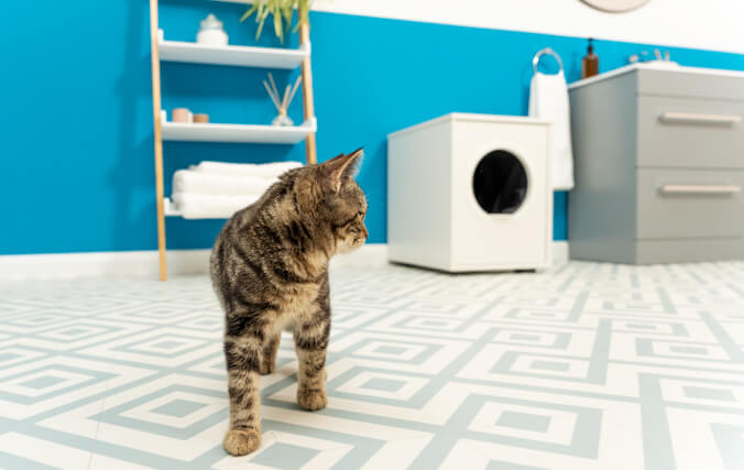 Maya Cat Litter Box Furniture