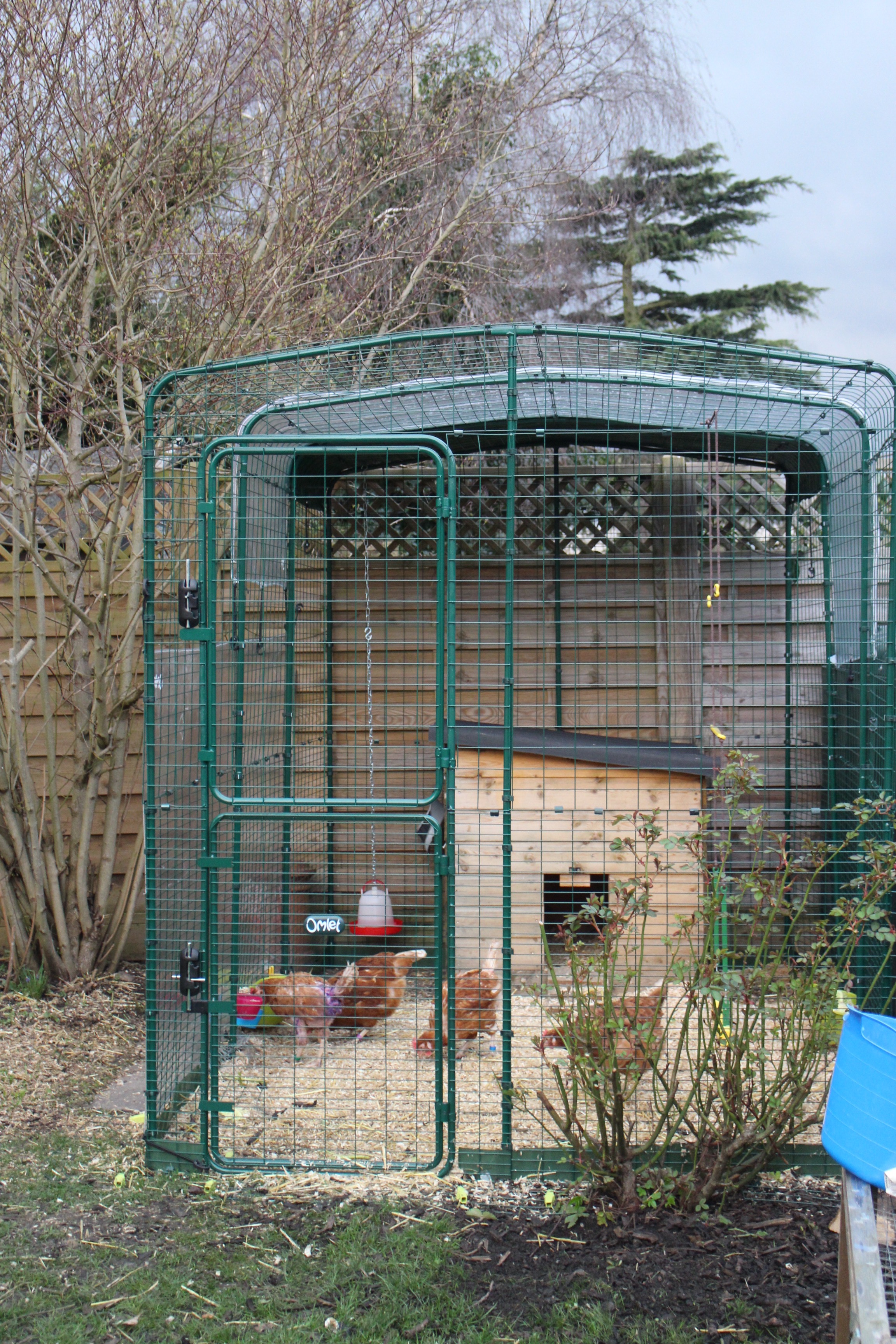 Walk in Chicken Run Large Outdoor Chicken Enclosure