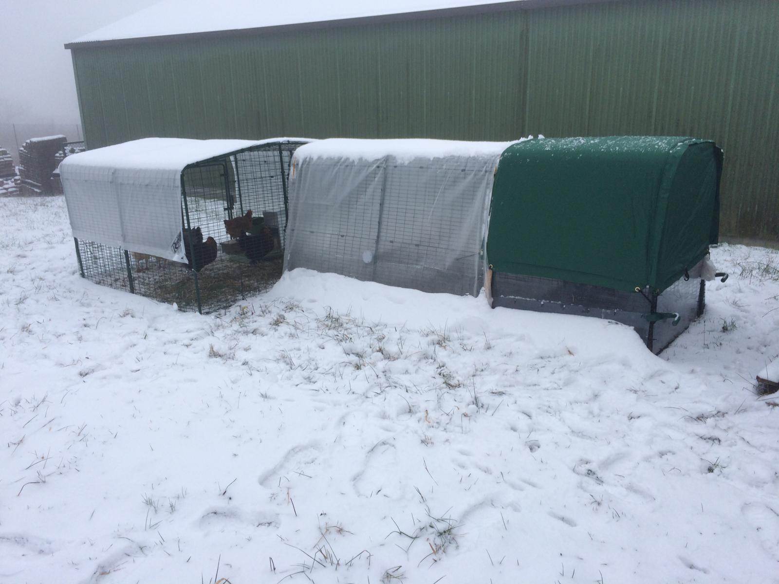 Eglu Cube Chicken Coop Chicken Coops, Walk in Chicken Runs, Chicken Fencing and more Omlet