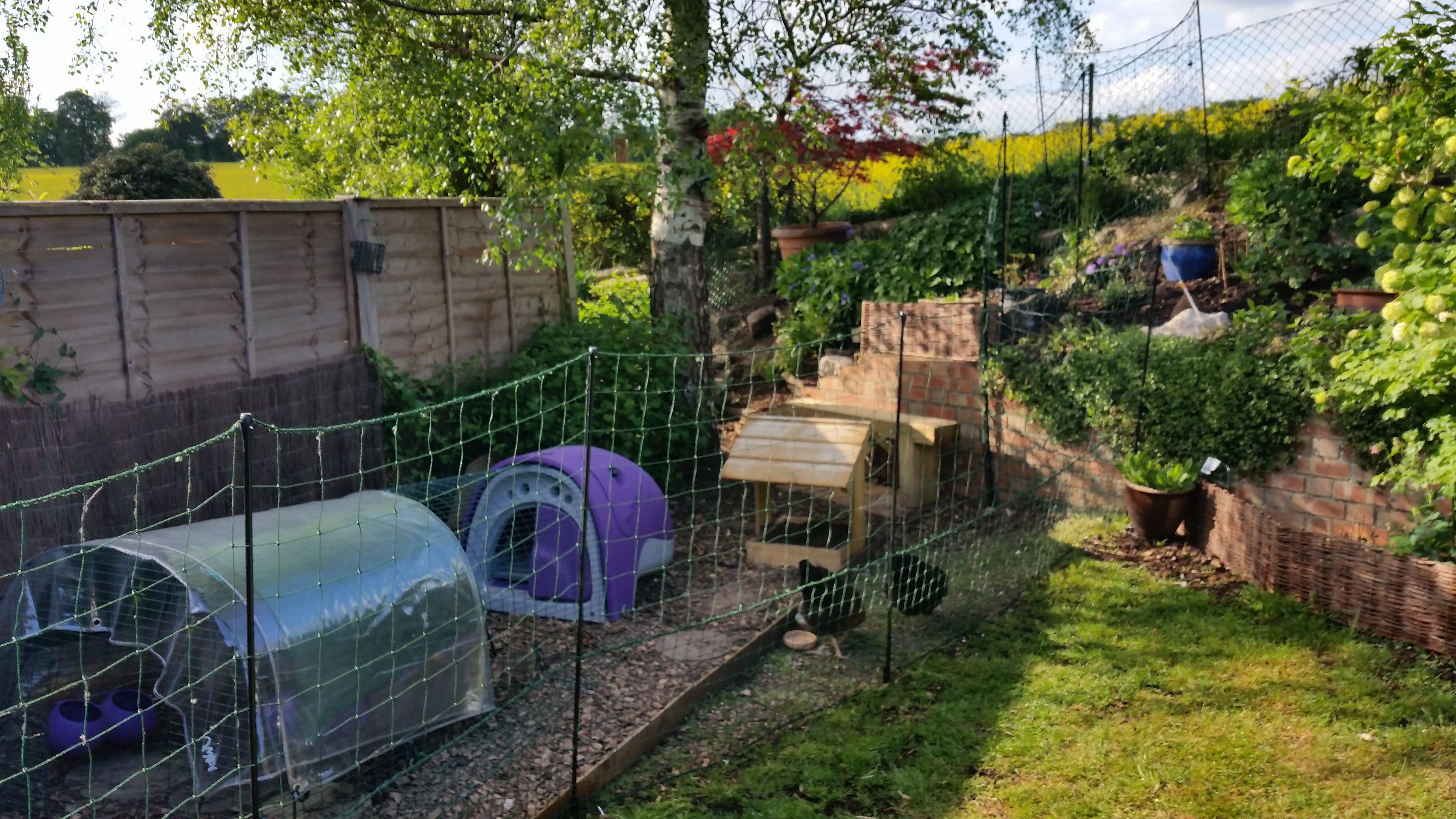 Omlet Chicken Fencing Chicken Keeping Omlet