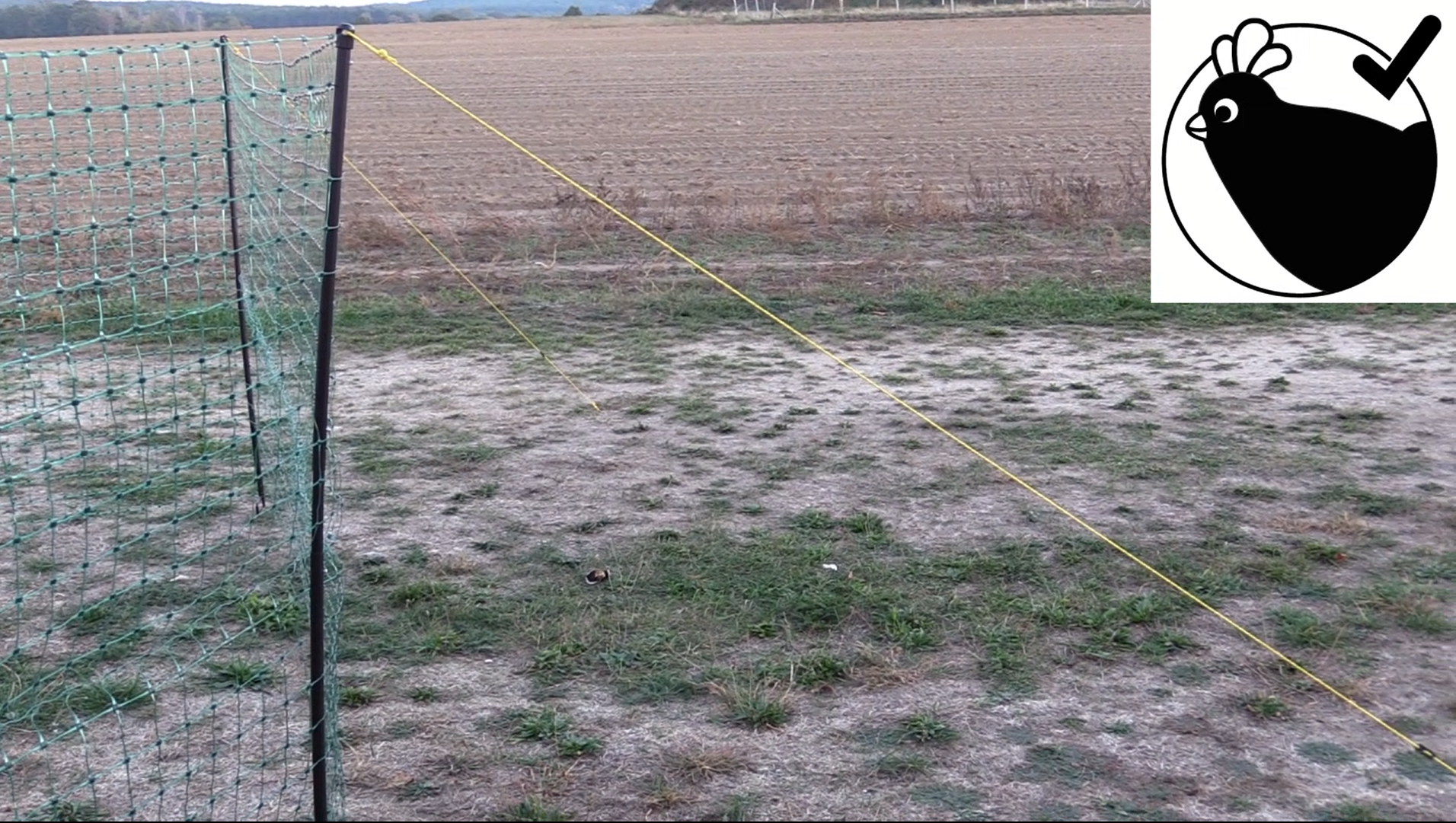 Omlet Chicken Fencing Poultry Netting for Chickens