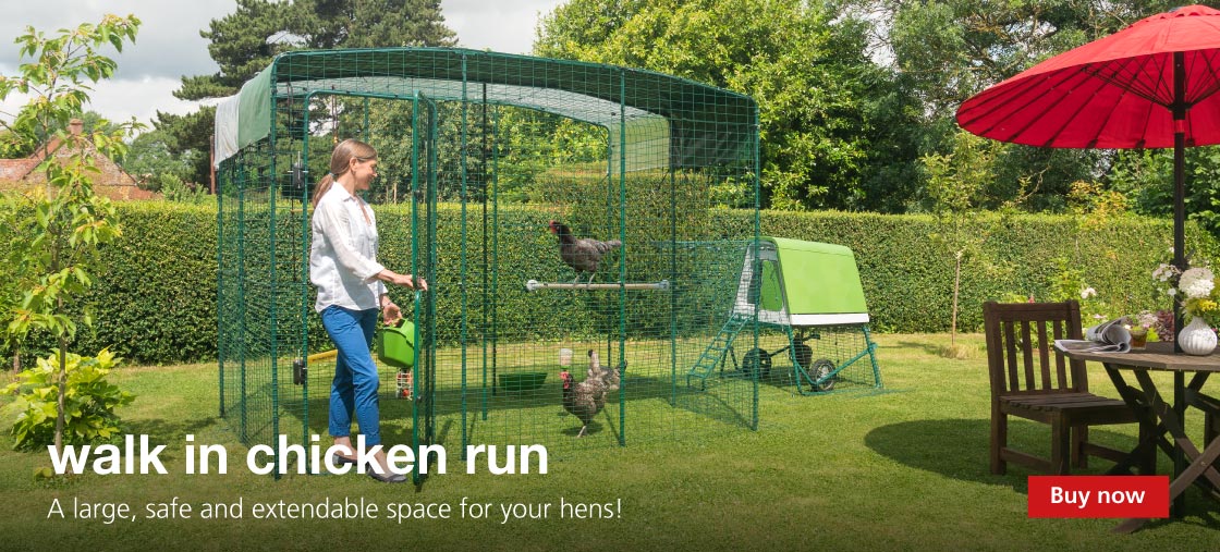 The Omlet walk in chicken run