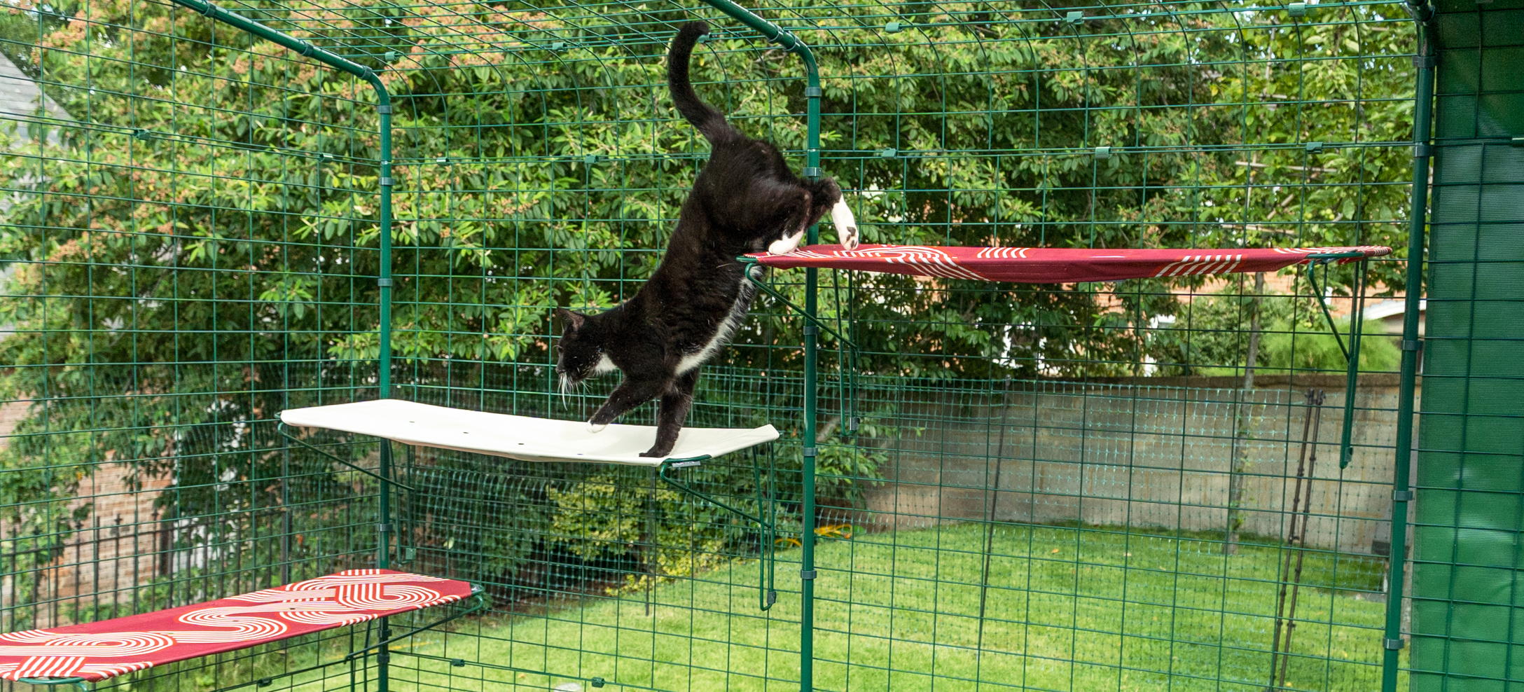 Cat climbing on Omlet Fabric Outdoor Cat Shelves in a Outdoor Catio in the yard