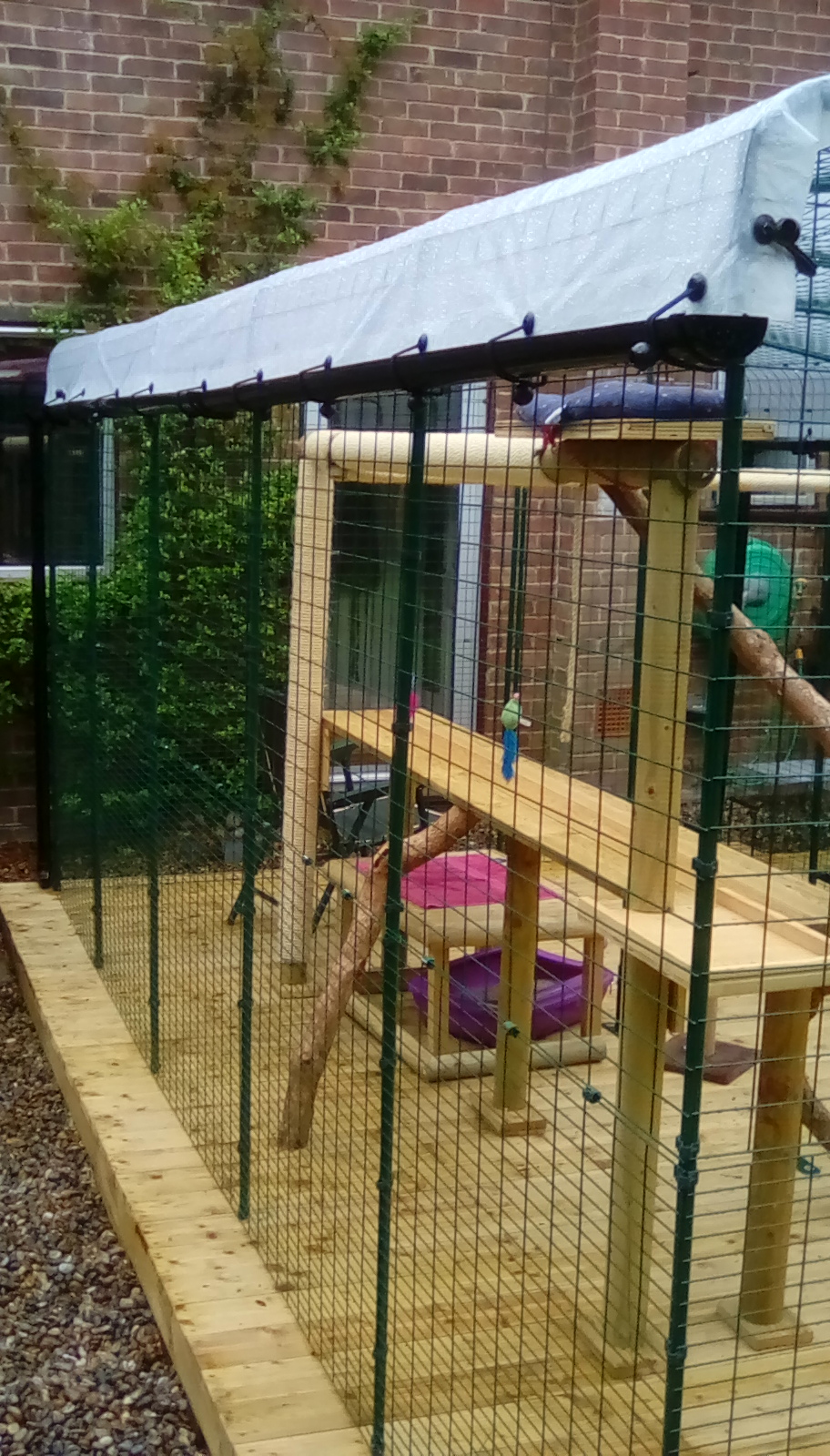 Outdoor Cat Run Large Spacious Outdoor Cat Enclosure