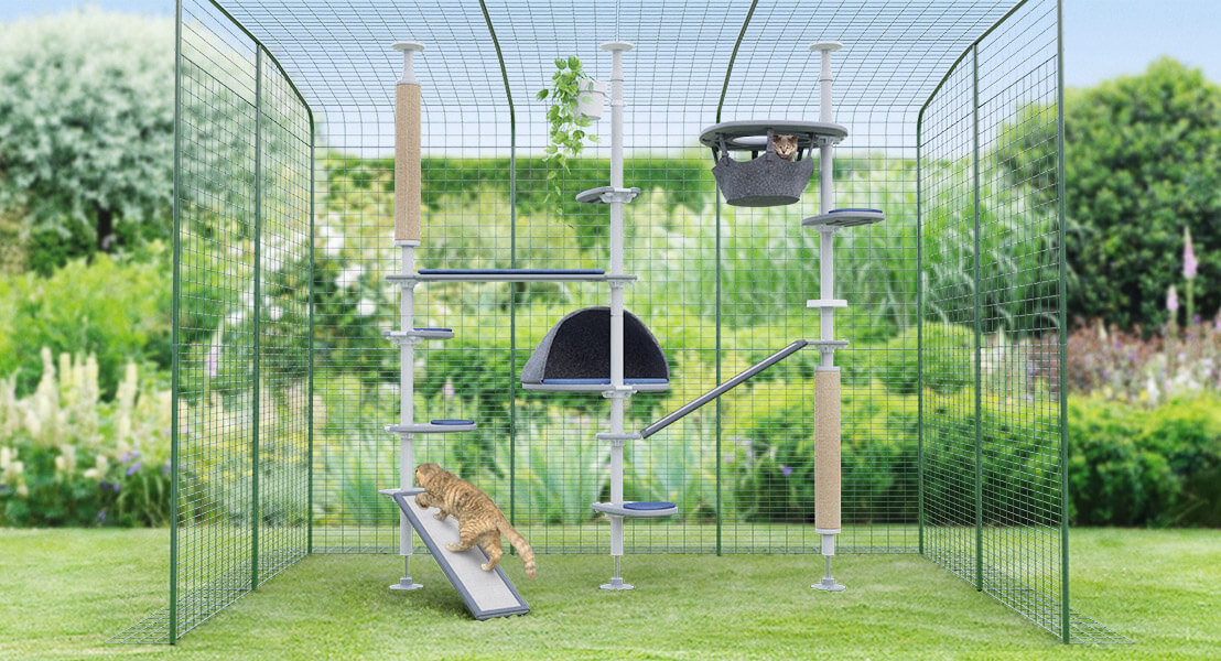 cats playing in the customisable freestyle cat tree inside a cat run catio
