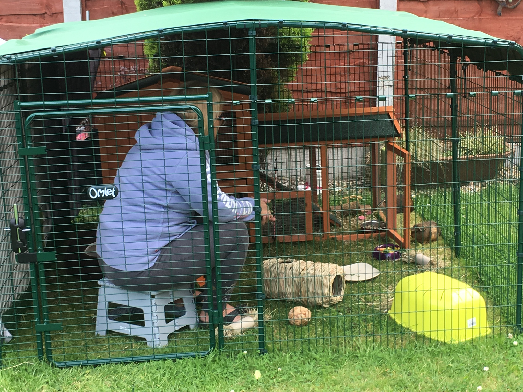 Outdoor Guinea Pig Run Large Outdoor Guinea Pig Enclosure