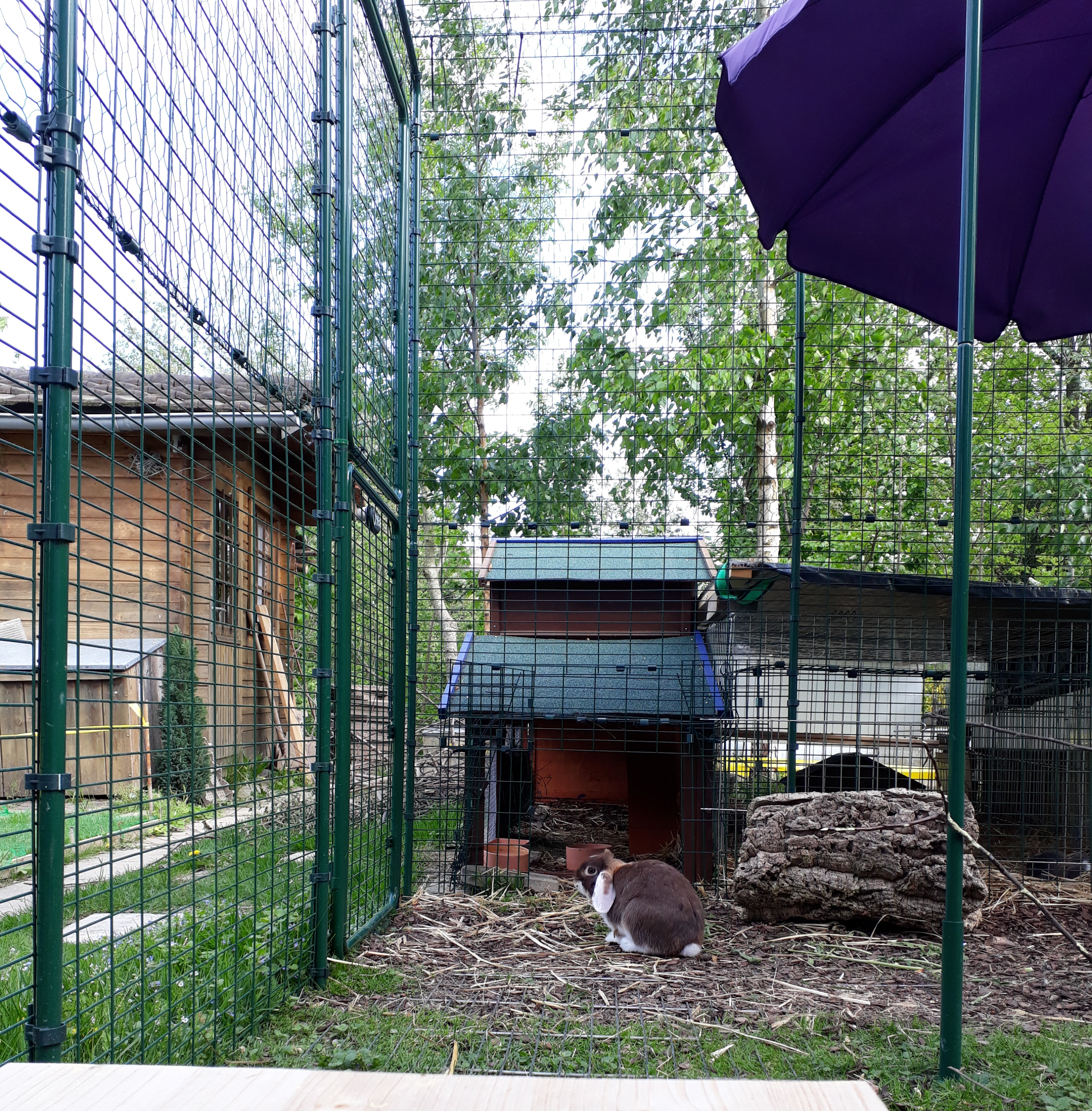 Outdoor Rabbit Run Large Outdoor Rabbit Enclosure