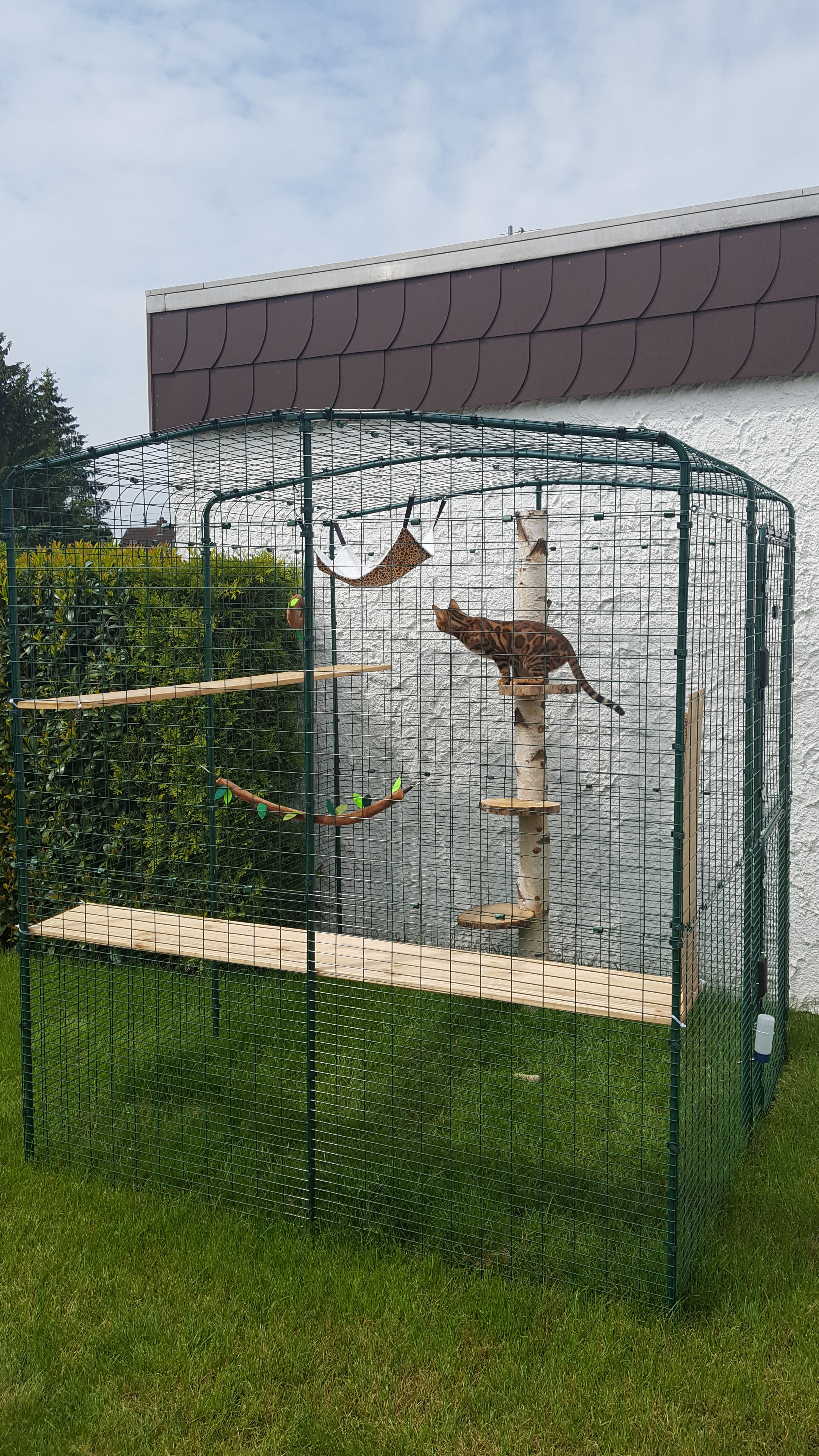 Outdoor Cat Run Large Spacious Outdoor Cat Enclosure