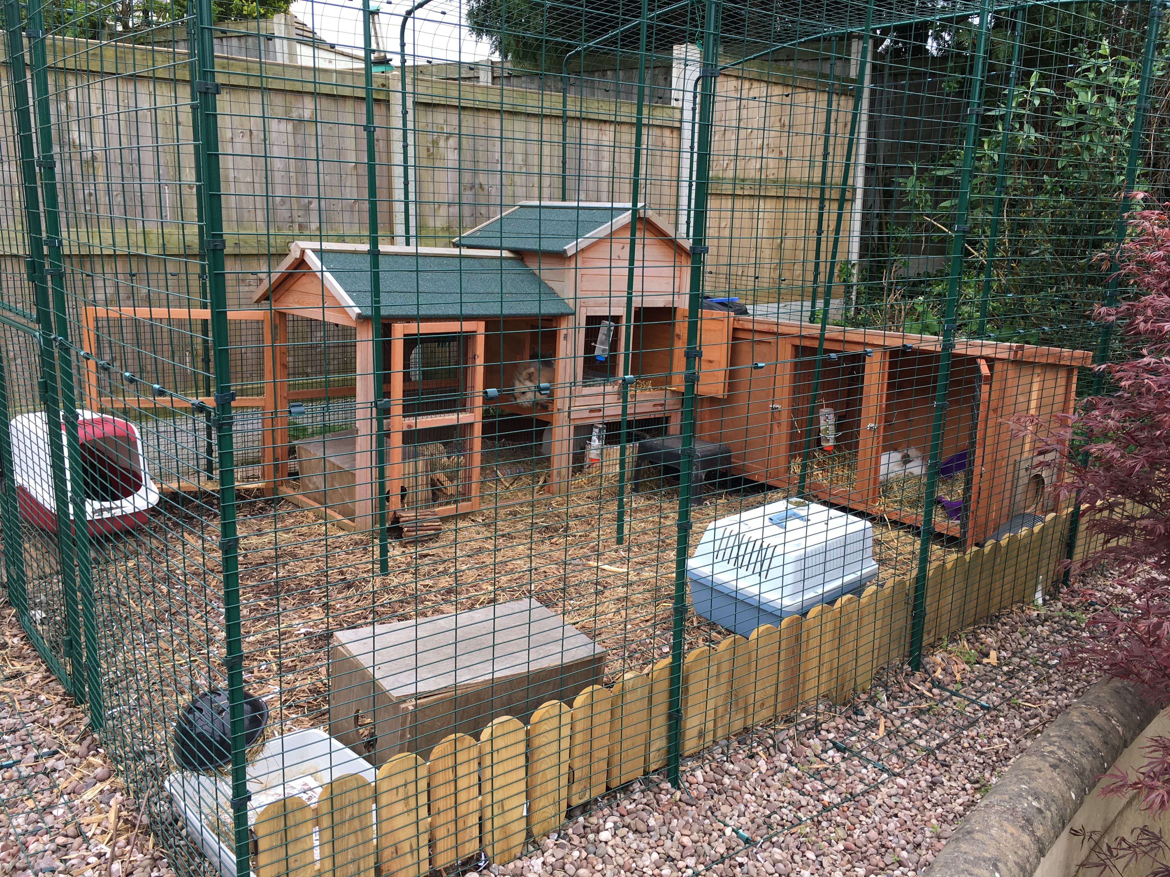 Outdoor Rabbit Run | Large Outdoor Rabbit Enclosure