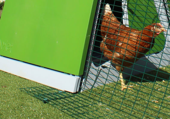 The Eglu Go starter chicken coop comes complete with everything you need to get started.