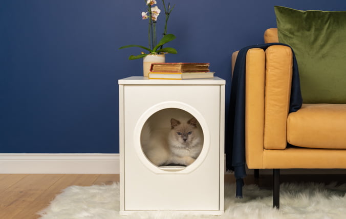 Stylish Modern Cat Bed Furniture with white cat inside That Looks Great in Your Home