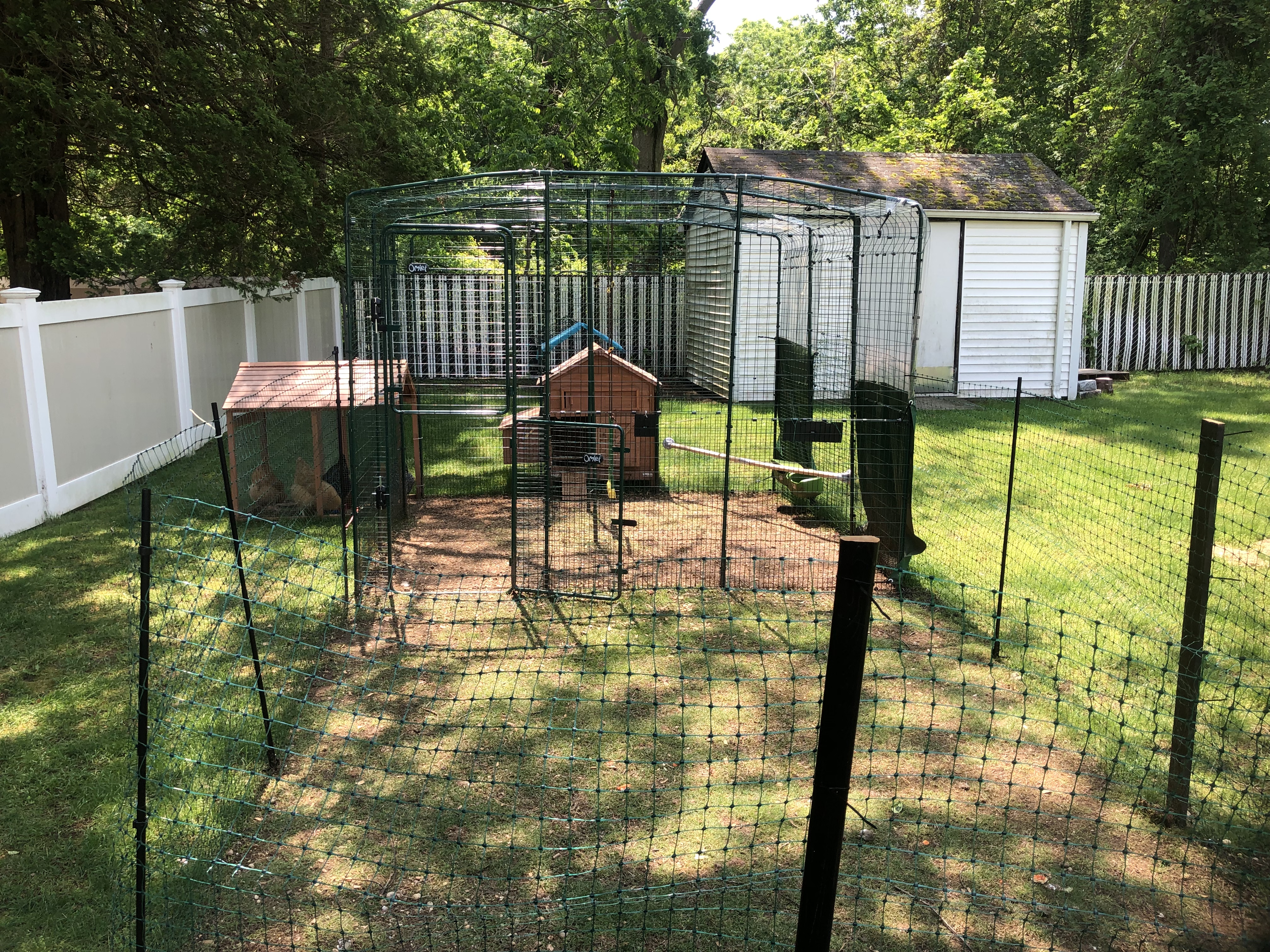 Walk in Chicken Run Large Outdoor Chicken Enclosure