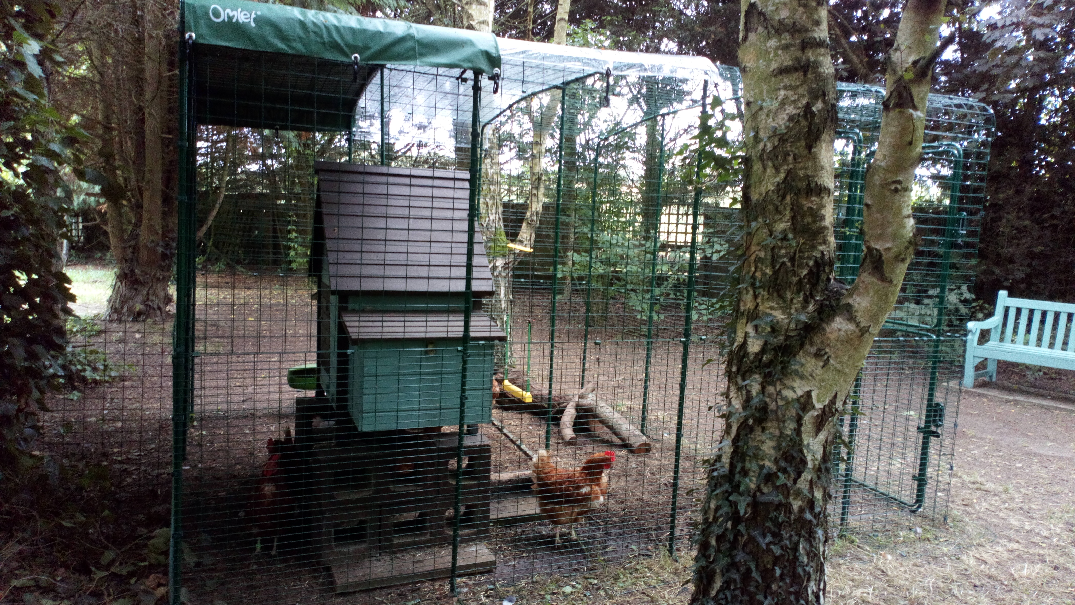 Walk in Chicken Run Large Outdoor Chicken Enclosure