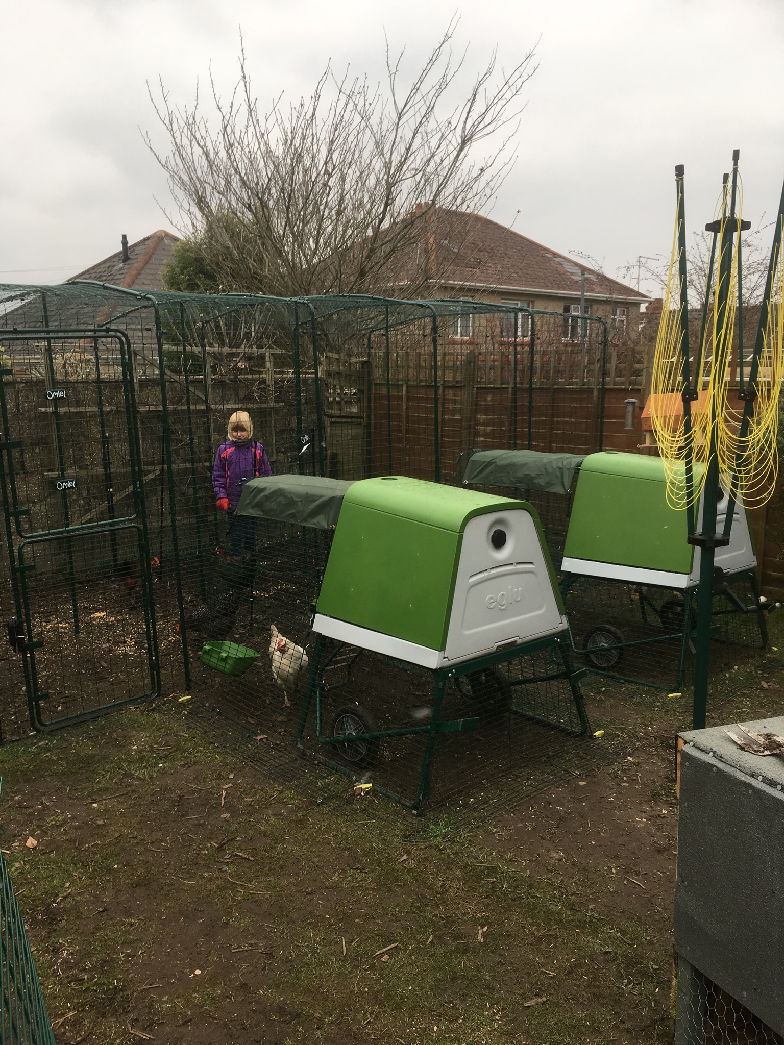 Walk in Chicken Run Large Outdoor Chicken Enclosure