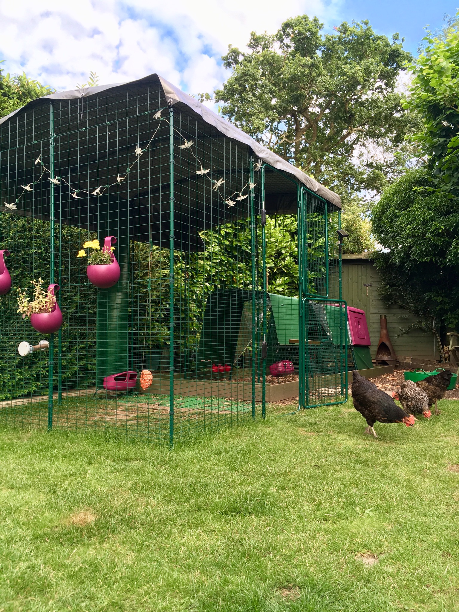 Walk in Chicken Run Large Outdoor Chicken Enclosure