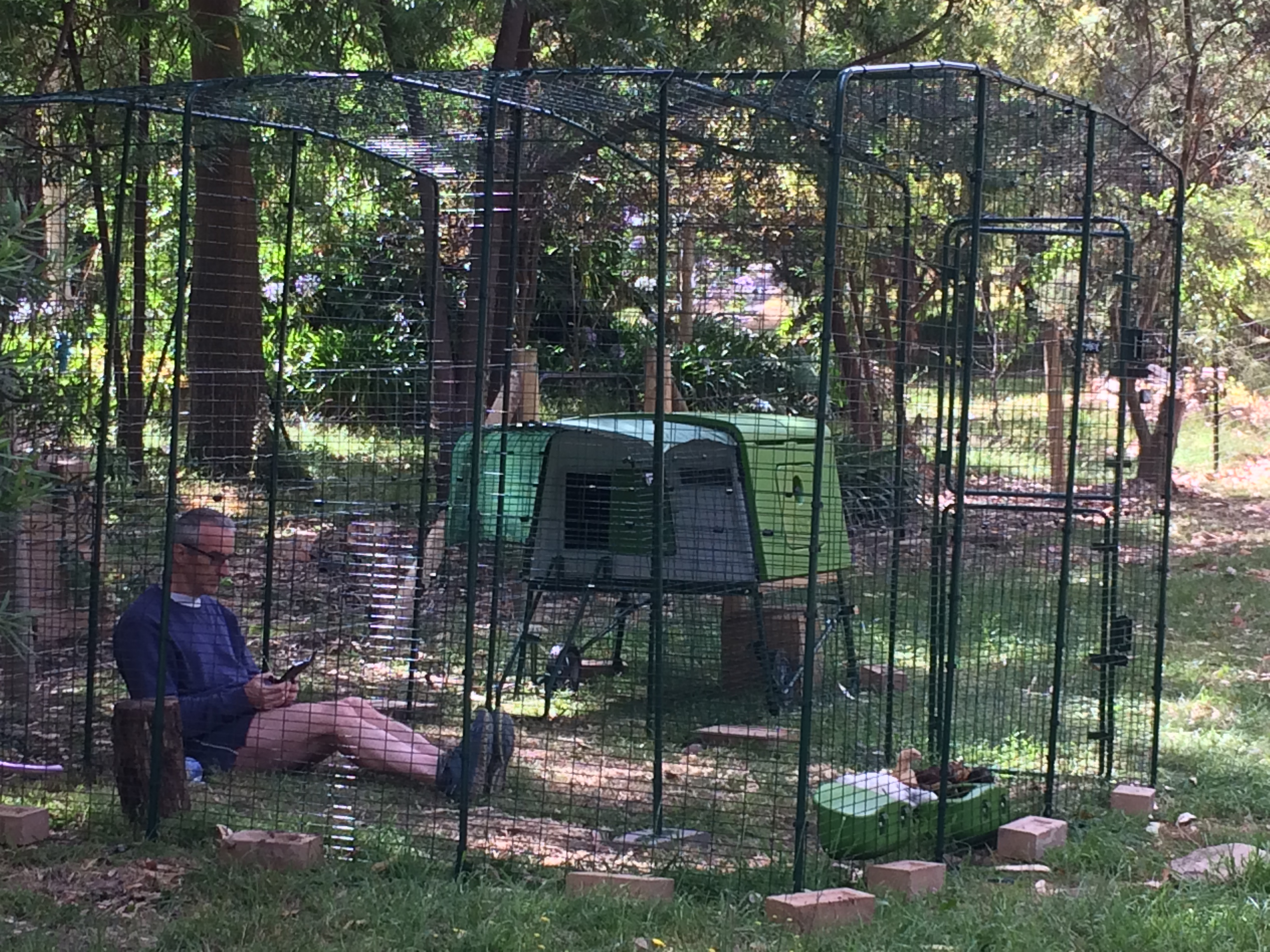 Walk in Chicken Run Large Outdoor Chicken Enclosure