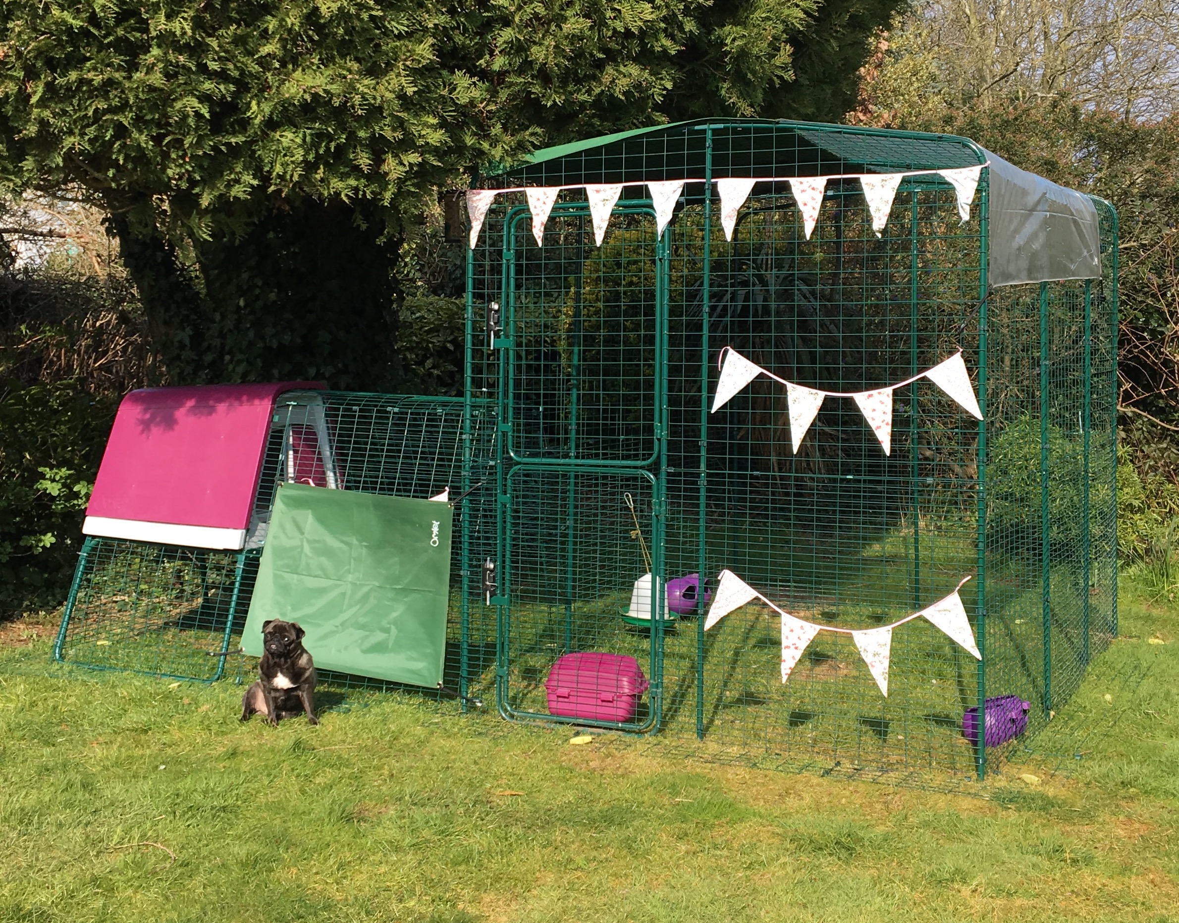 Walk in Chicken Run Large Outdoor Chicken Enclosure