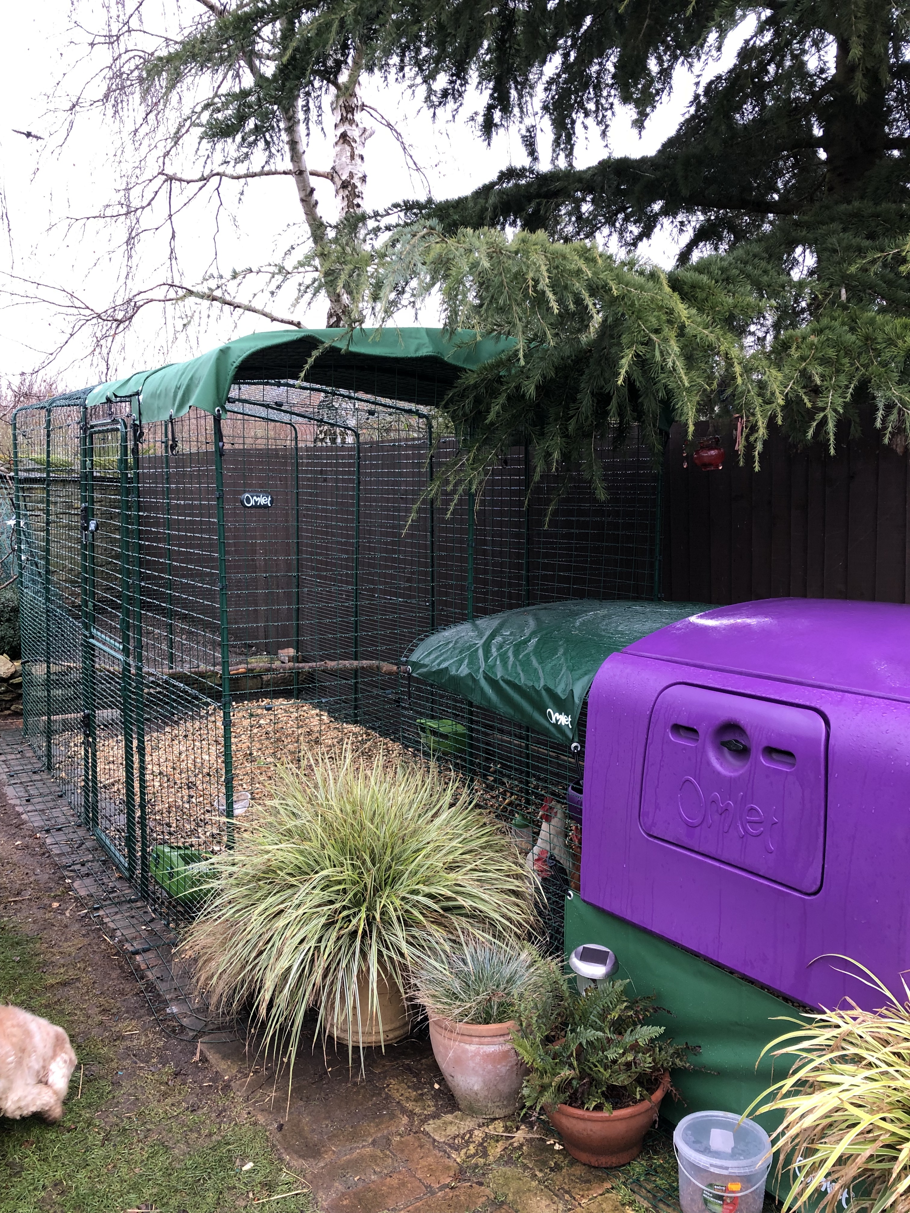 Walk in Chicken Run Large Outdoor Chicken Enclosure