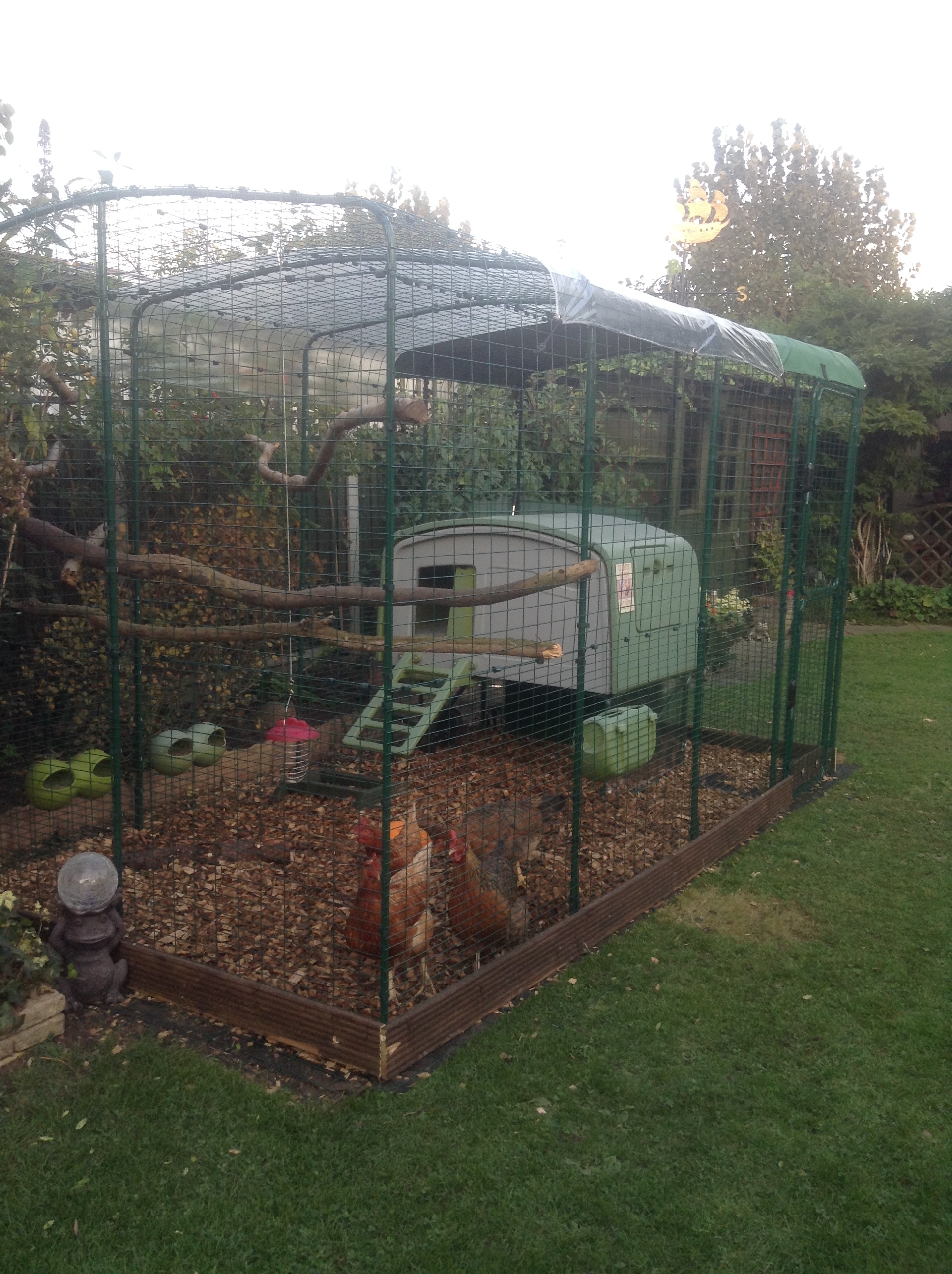 Walk in Chicken Run | Large Outdoor Chicken Enclosure