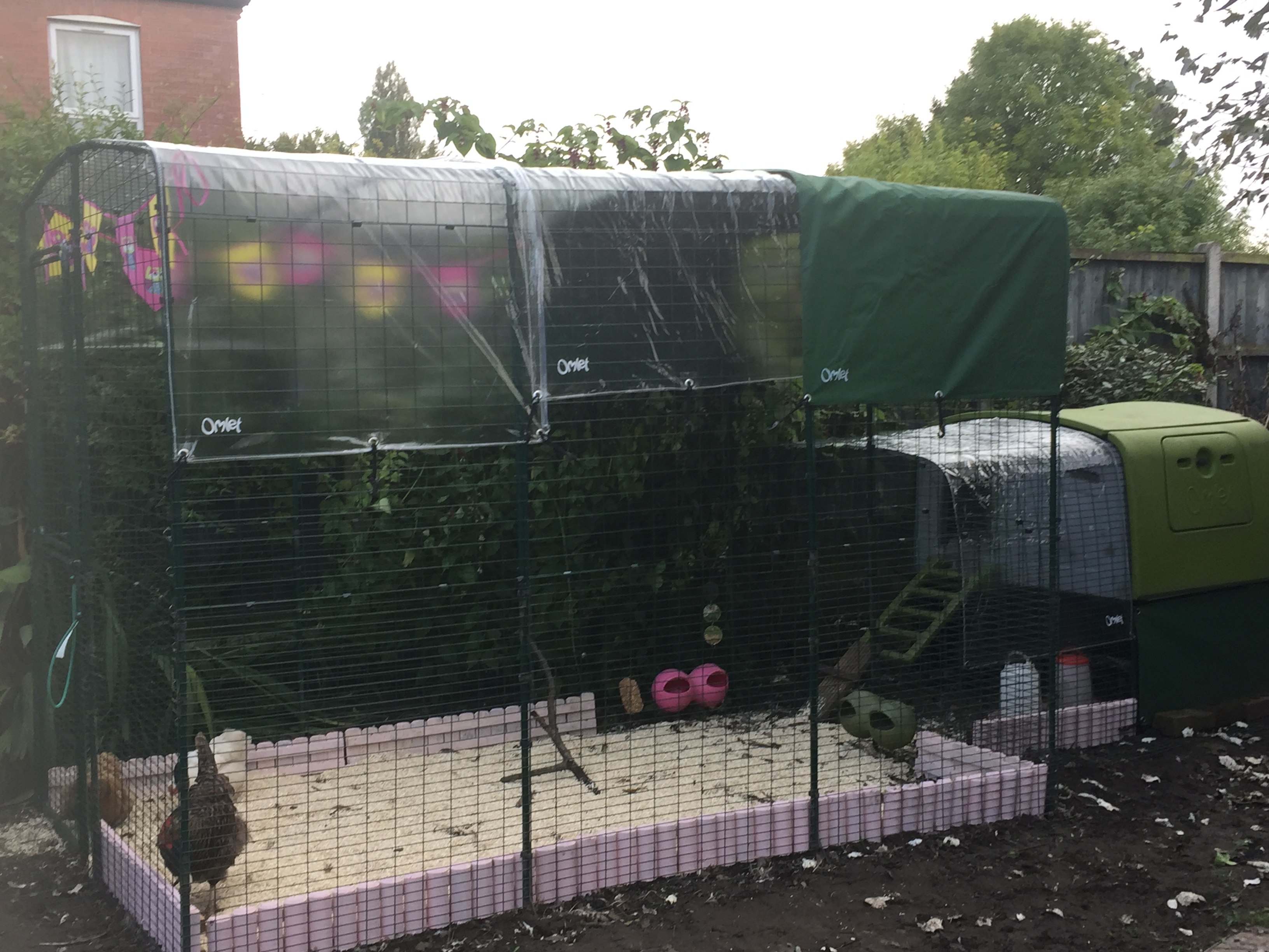 Walk in Chicken Run Large Outdoor Chicken Enclosure