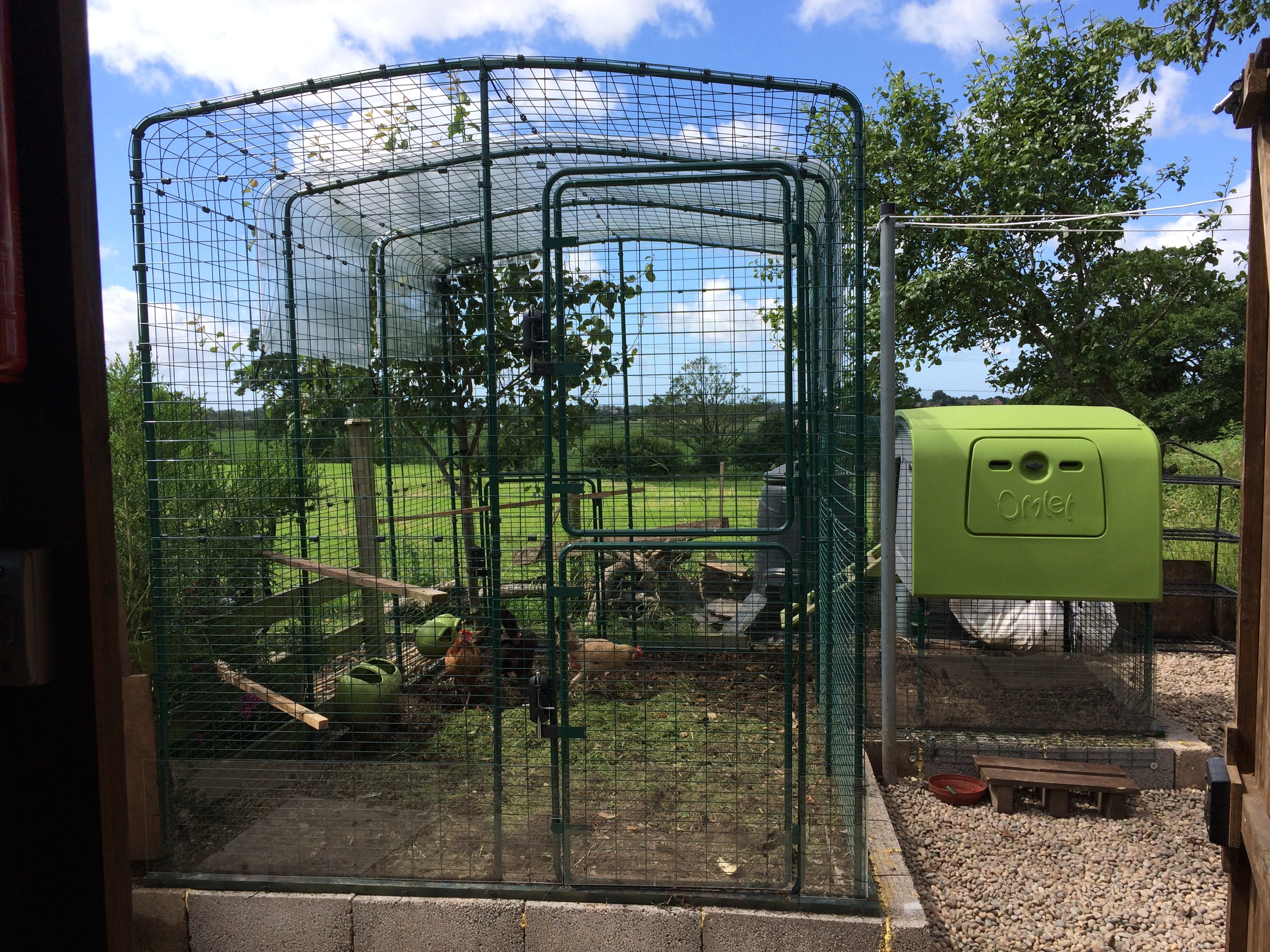 Walk in Chicken Run | Large Outdoor Chicken Enclosure